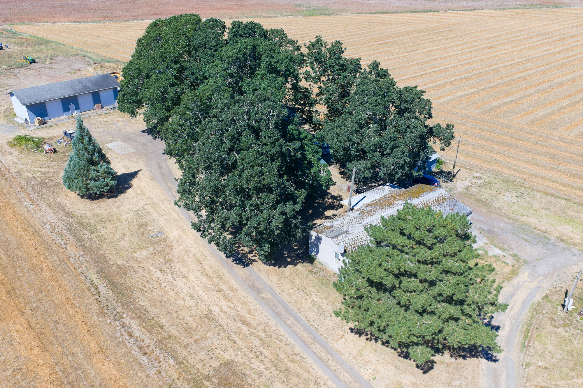 N/A - Farm