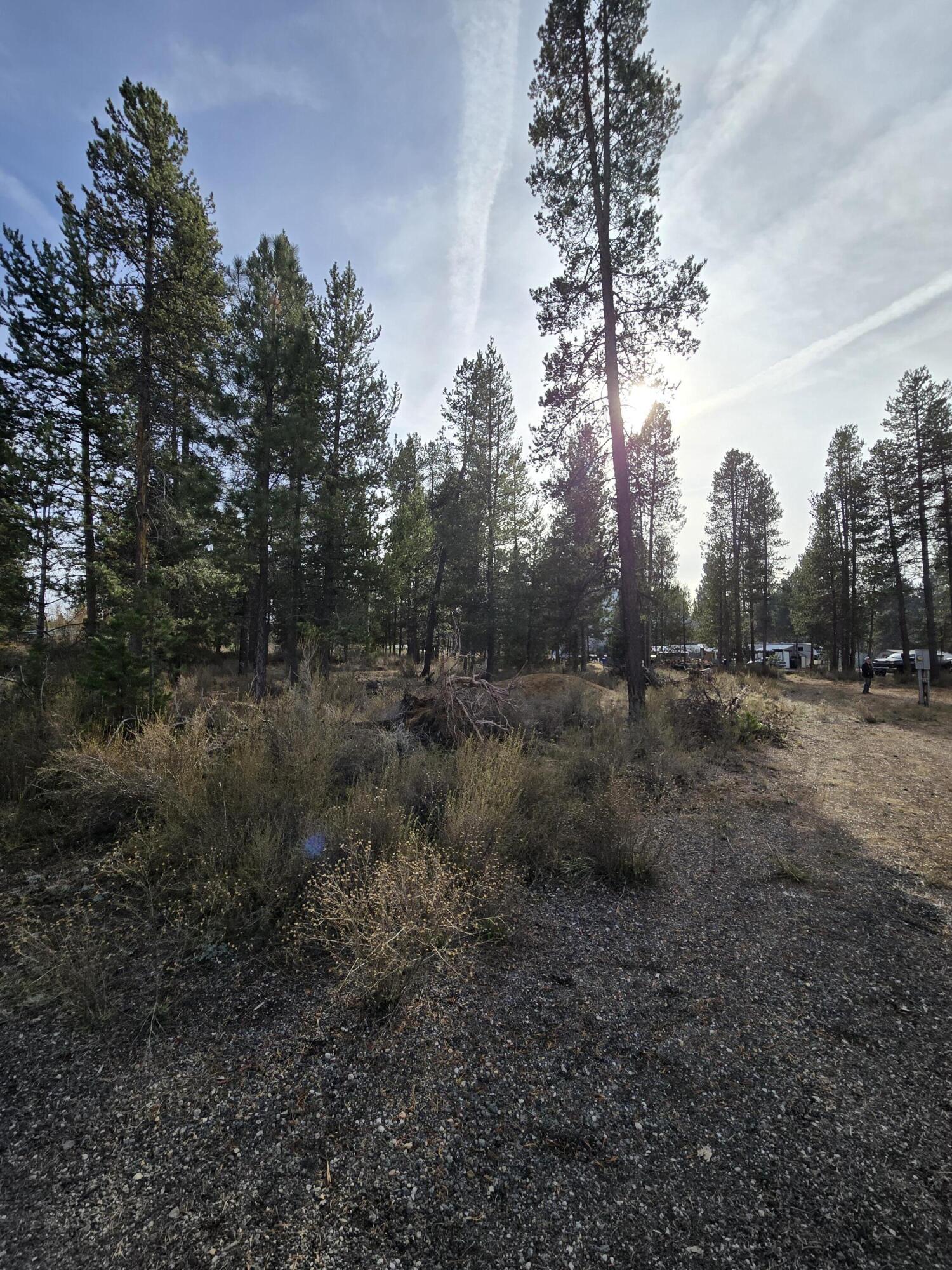 River Pine Estates - Land