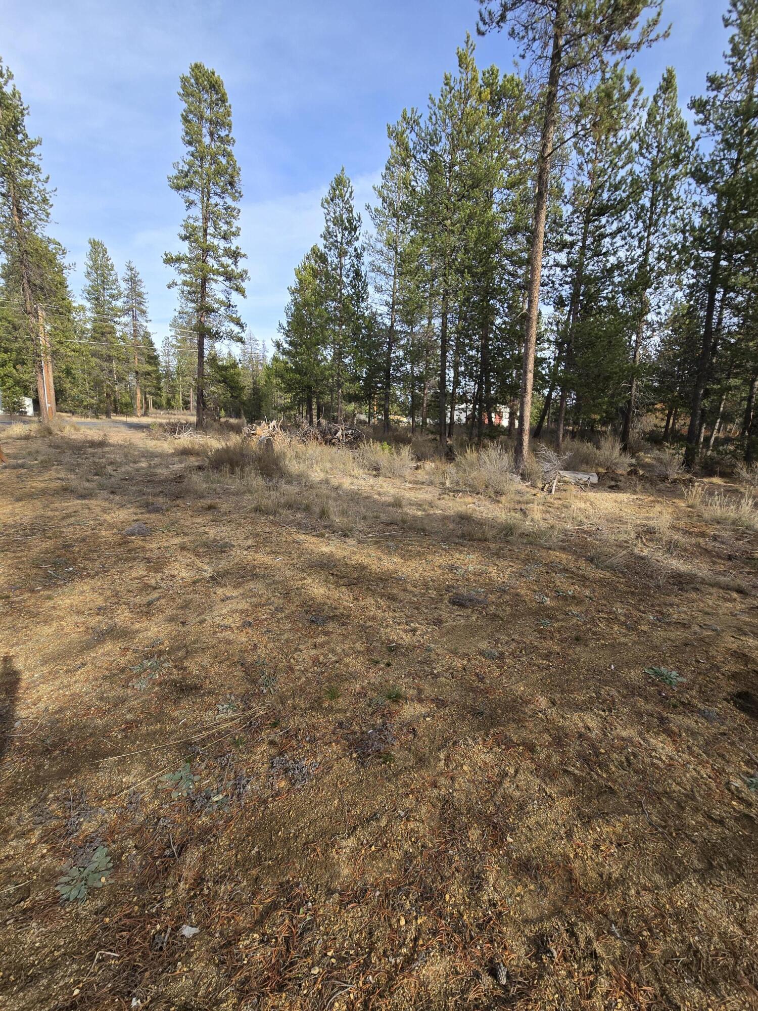 River Pine Estates - Land