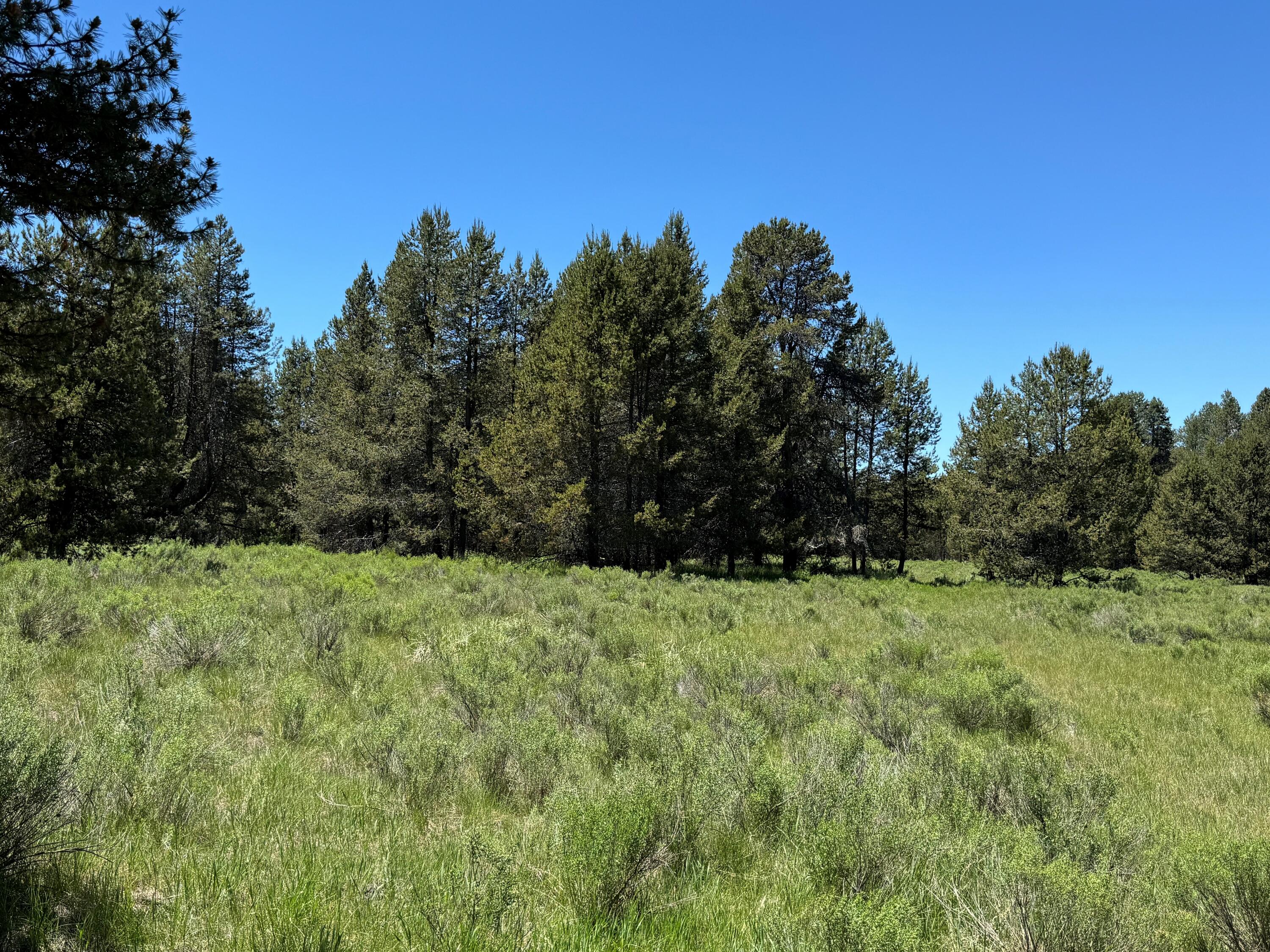 Eagle Meadows is paradise! Private and gated 20 acres of beautiful tree covered property with a lush meadow that sits in the middle. This land borders the Klamath Wildlife National Refuge. Wildlife galore! A 20' high cube customized shipping container with hidden slider door will convey. Out house, graveled area with fire pit. This property would make the ultimate off grid living situation. Elk, deer, antelope and bird hunting.