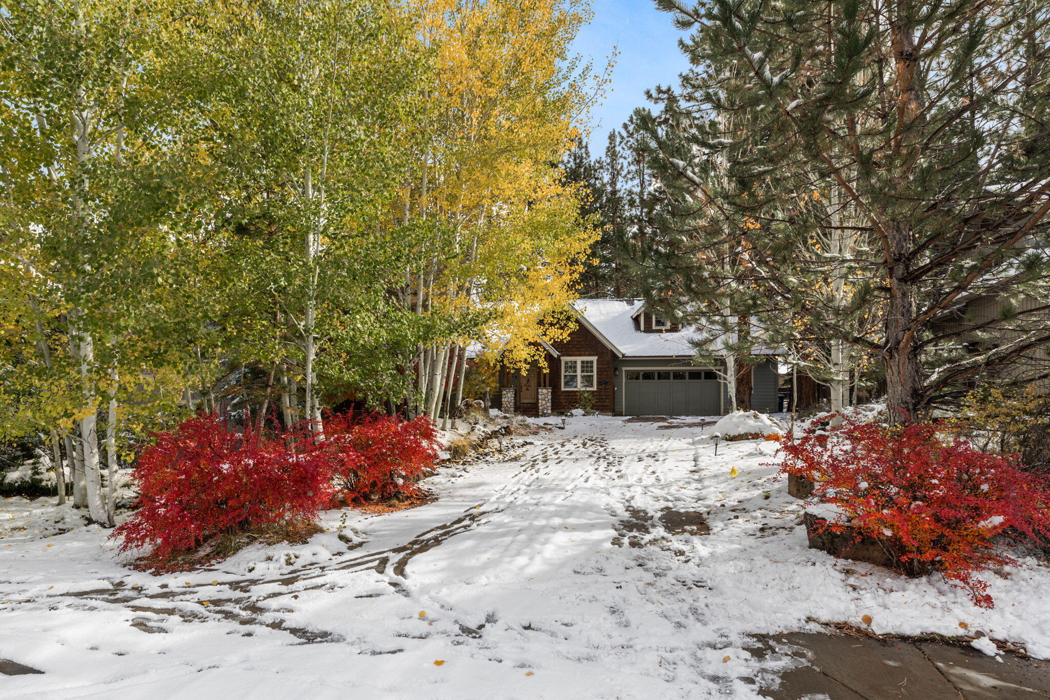 Mountain Pine - Residential