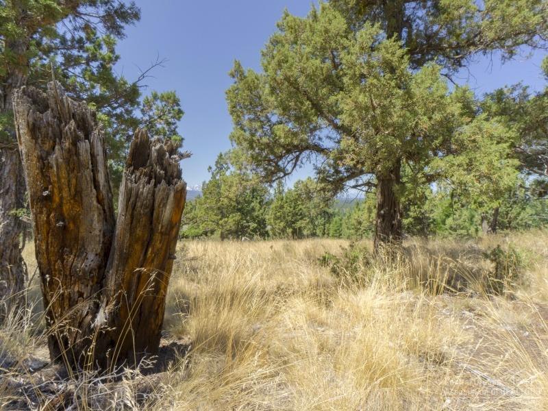 Awbrey Butte - Land