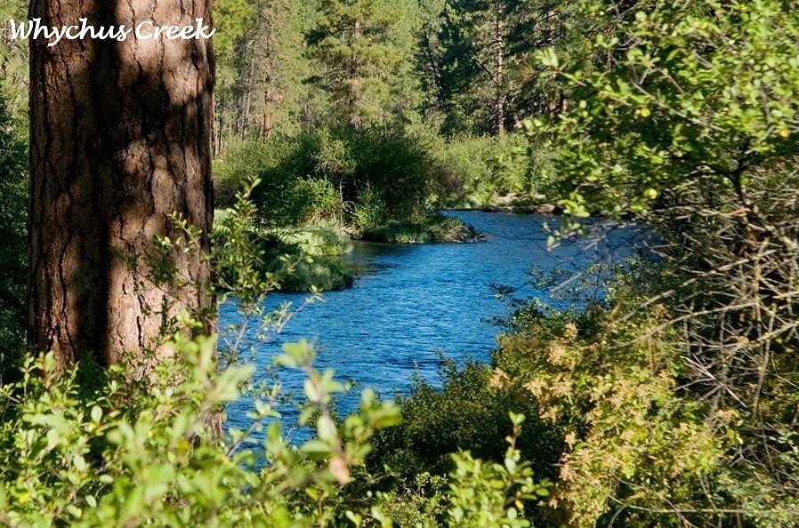 Creekside - Land