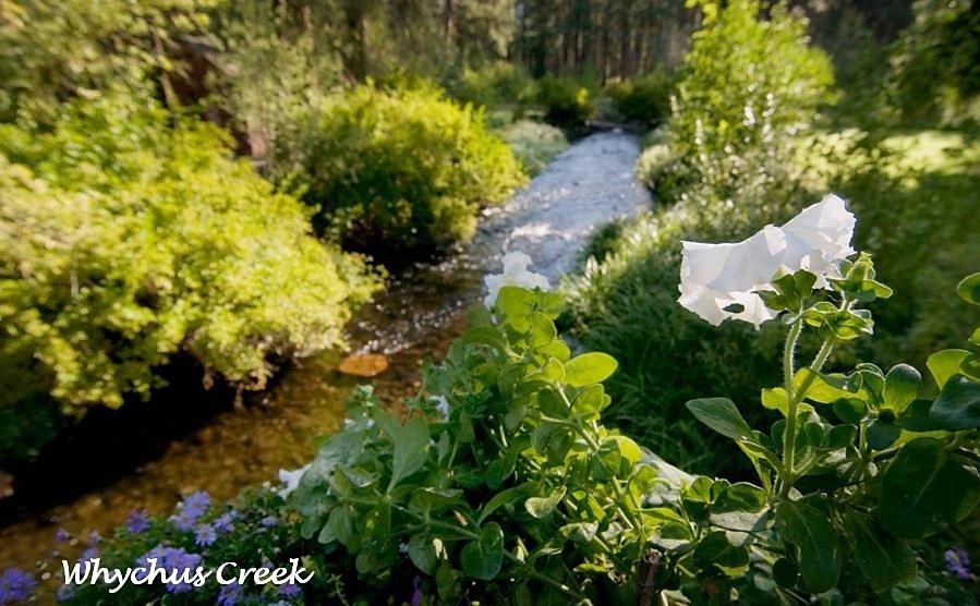 Creekside - Land