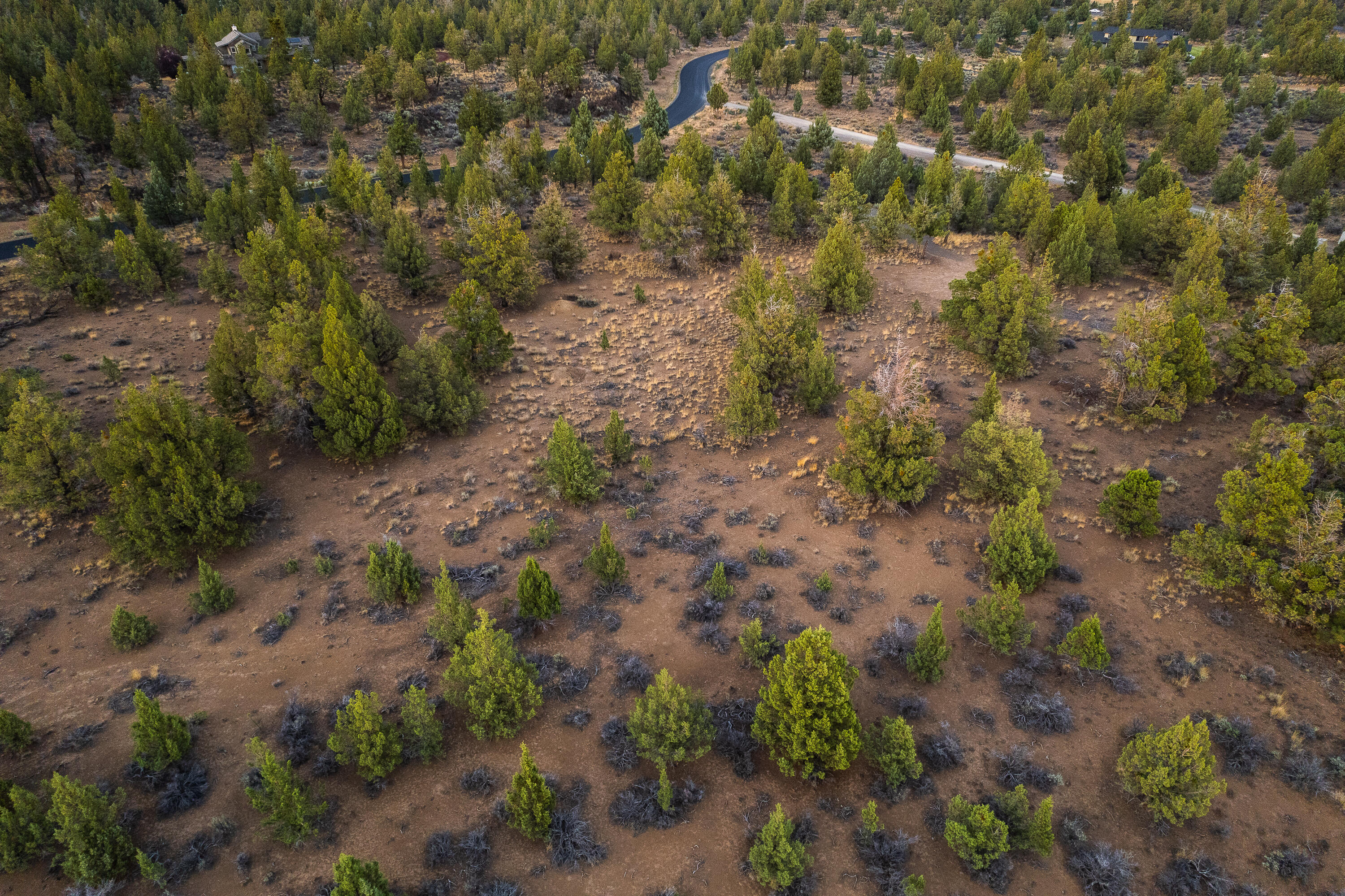 Pacific Cascade Hts - Land