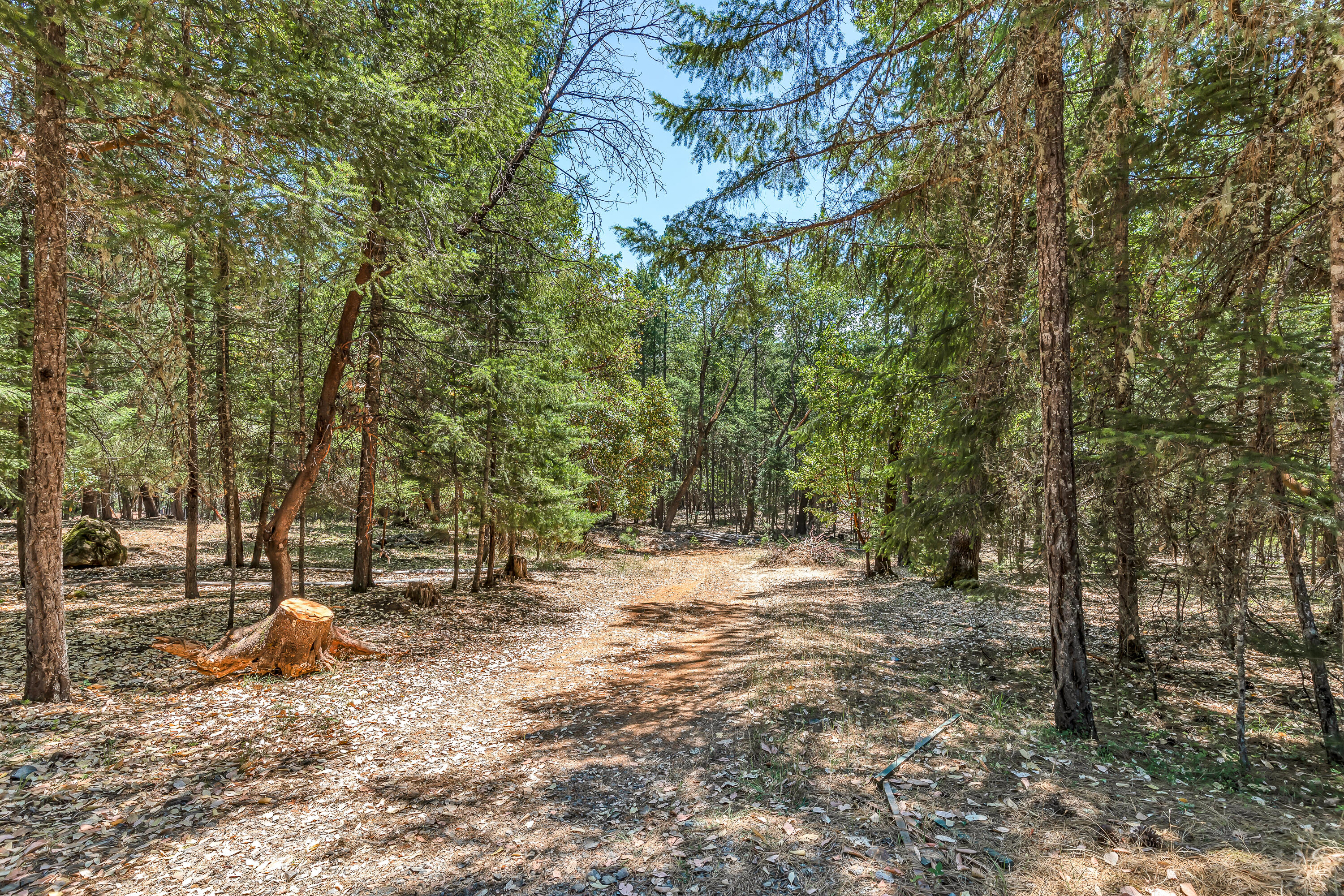 Green Tree Subdivision - Residential
