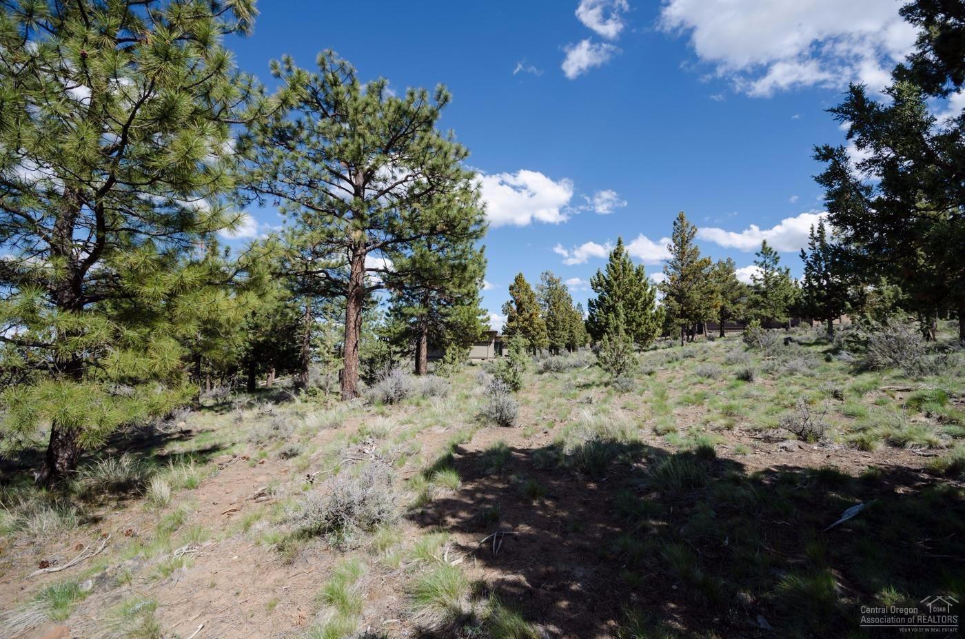 Awbrey Butte - Land