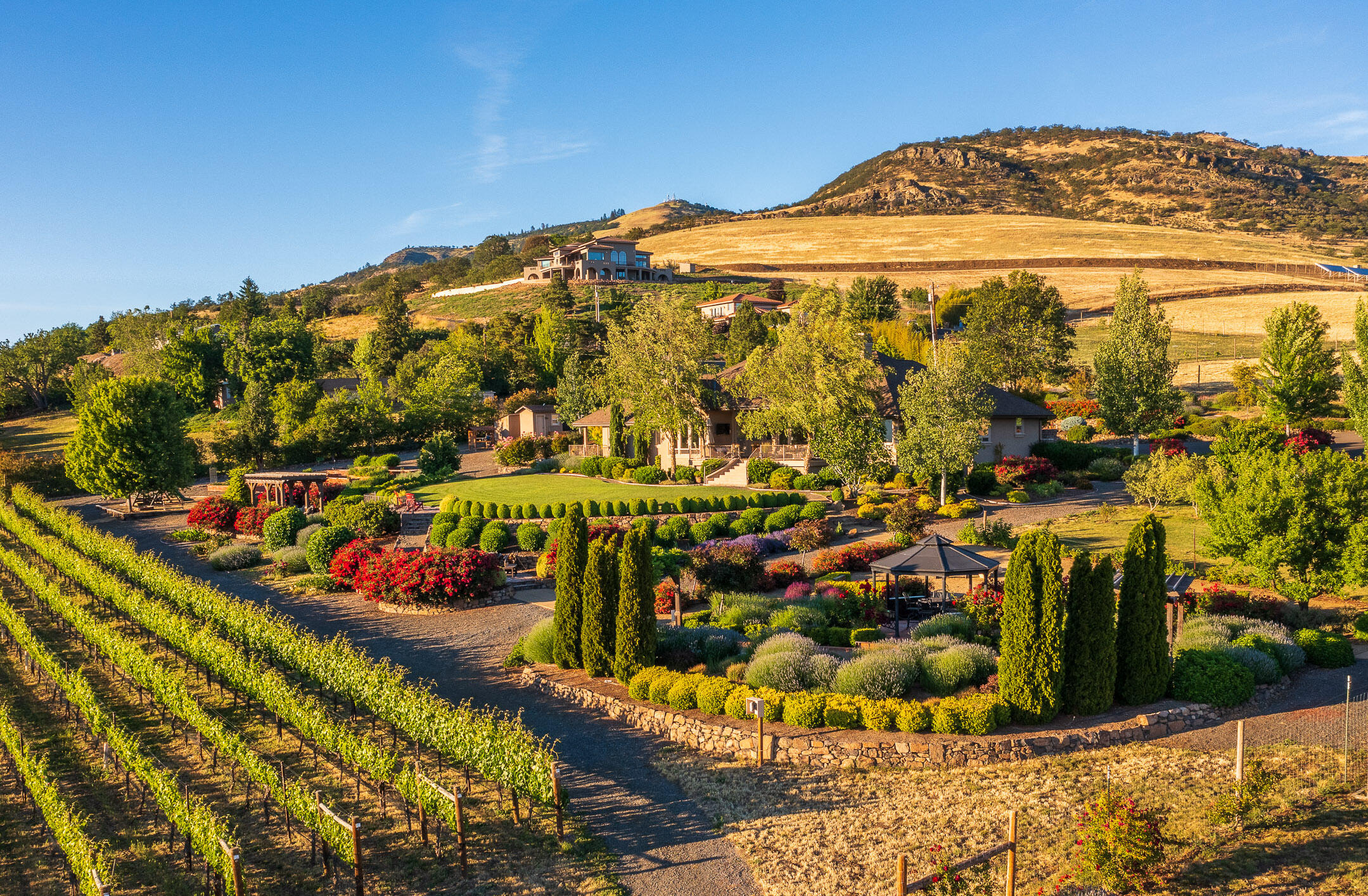 Welcome to Jaxon, an impressive estate home & vineyard. This property boasts a combination of an estate quality home, stunning vineyard & lavish outdoor entertaining spaces w/ impressive landscaping & picturesque views. The vineyard is well established & has a rich history of winemaking success. The split floor plan w/ open concept living space provides great flow w/ high ceilings & incredible views. A chef's kitchen, master suite w/ large bathroom & walk-in closet, office, guest suite w/ wet bar & private patio & more. High-end details throughout. The property has a great capacity for entertaining w/ lush lawns & landscaped lined paths connecting the many outdoor seating & entertaining areas. Gated entry, shop w/ a 1/2 bath & attached carport & an equipment building. The property has 12.7 irrigated acres from TID. With an inviting home, impressive landscaping, agricultural capabilities, & outdoor entertaining, Jaxon provides an amazing opportunity for the discerning buyer.