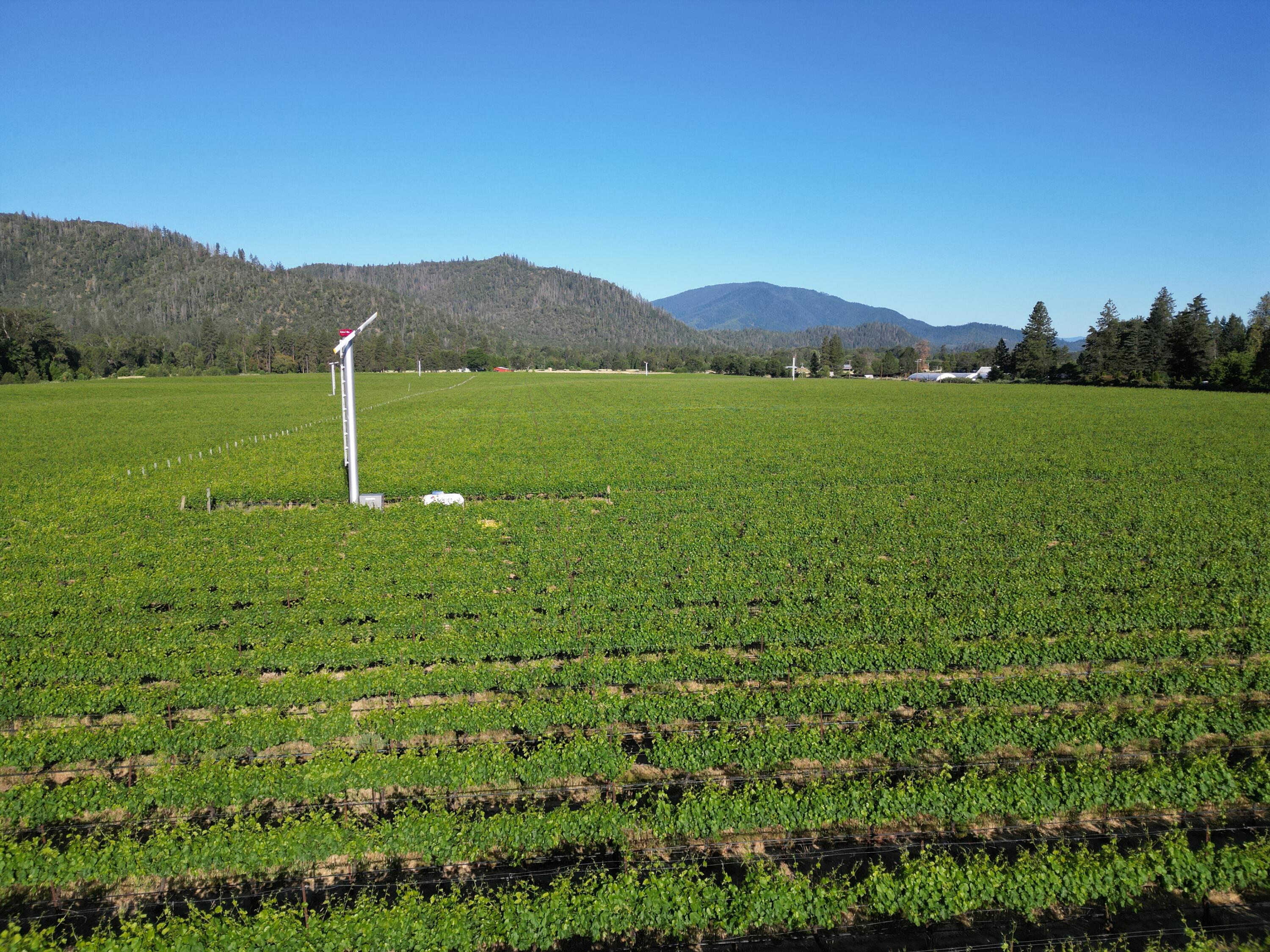 N/A - Farm