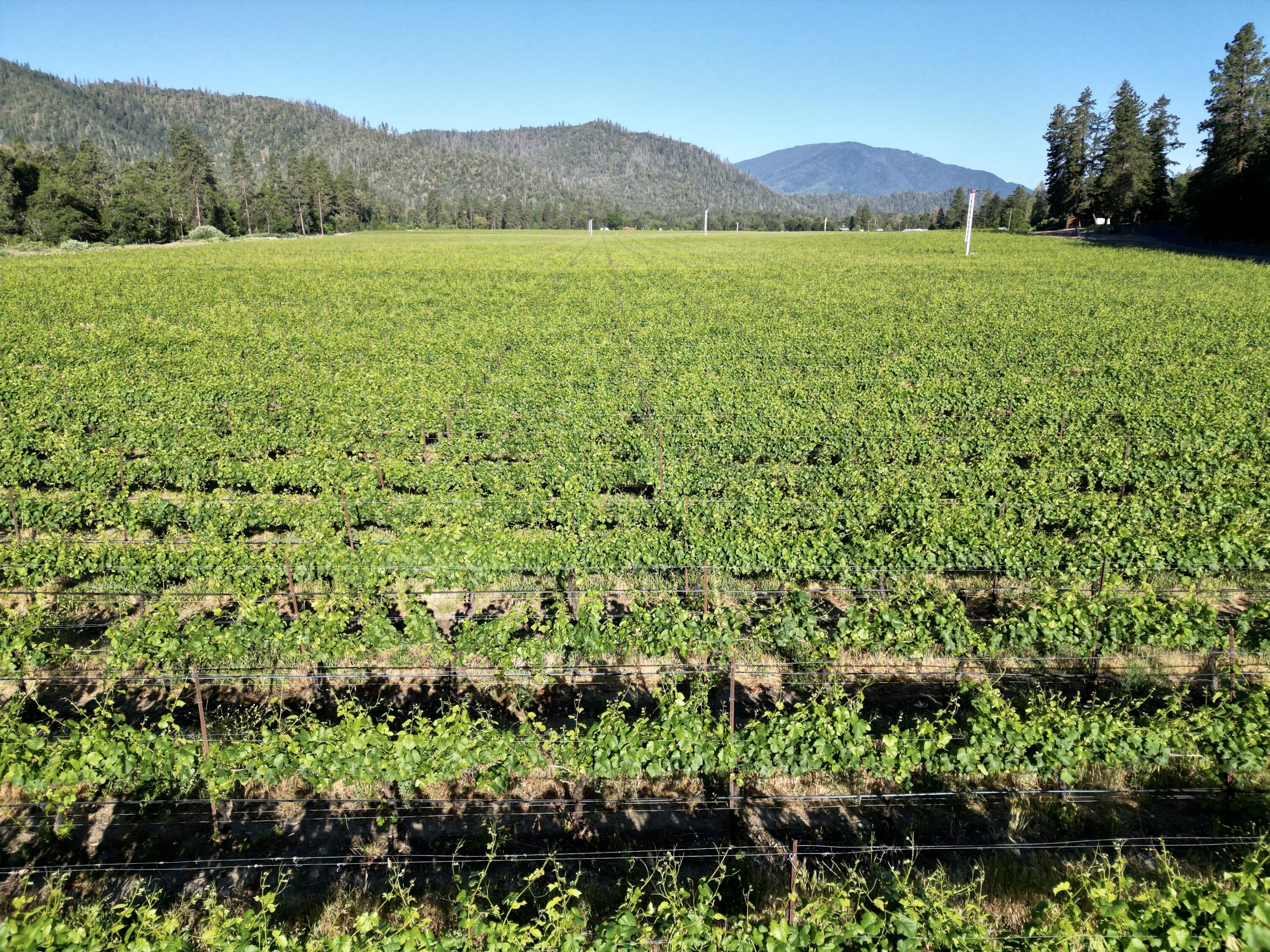 N/A - Farm