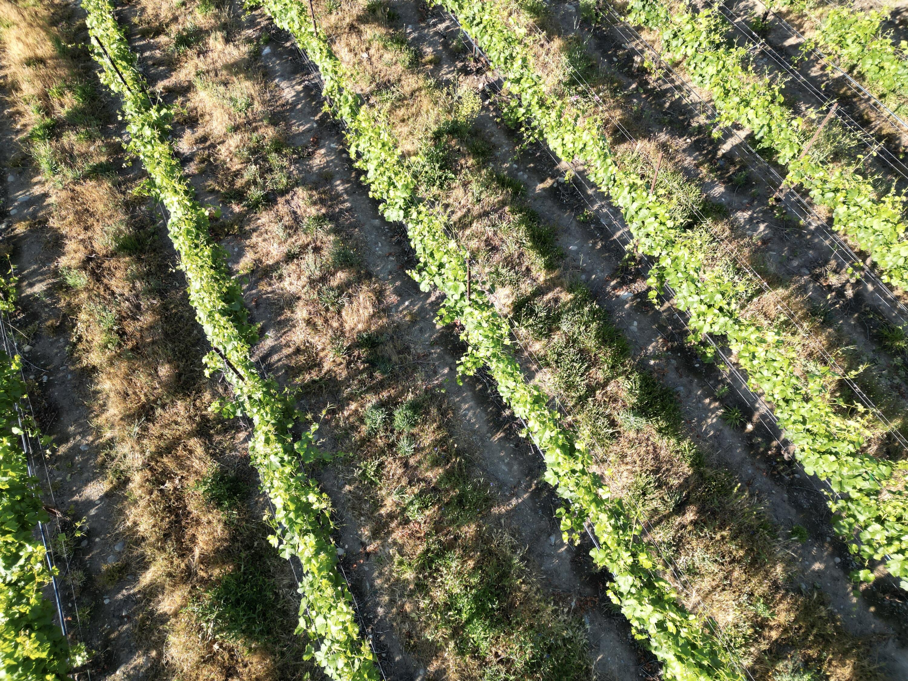 N/A - Farm