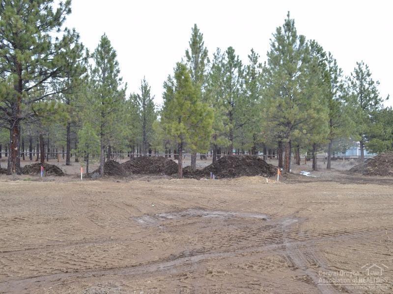Clearpine - Land