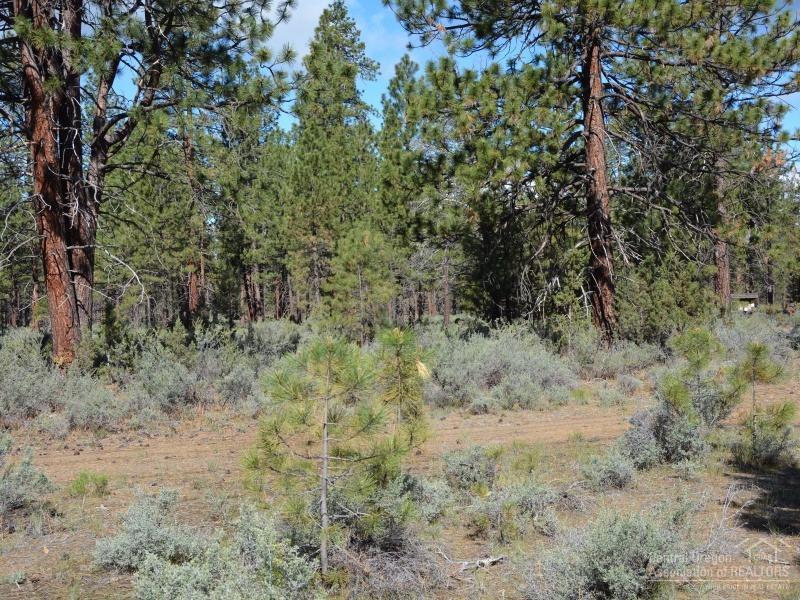 Clearpine - Land
