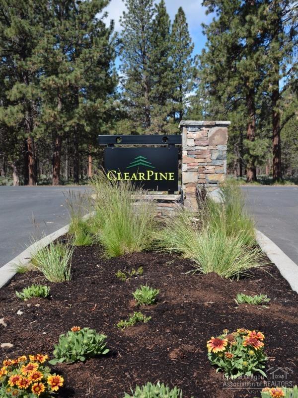Clearpine - Land