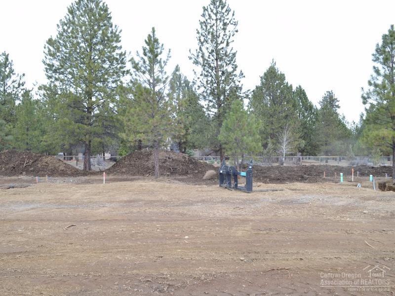 Clearpine - Land