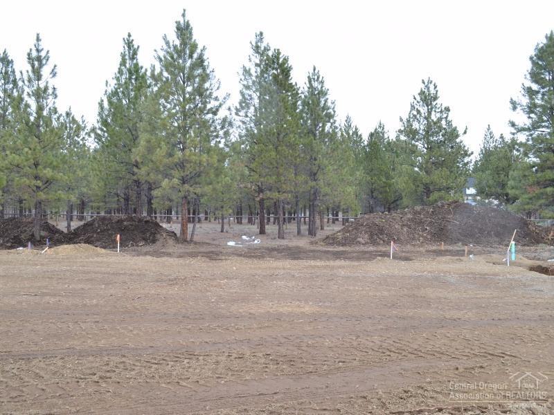Clearpine - Land