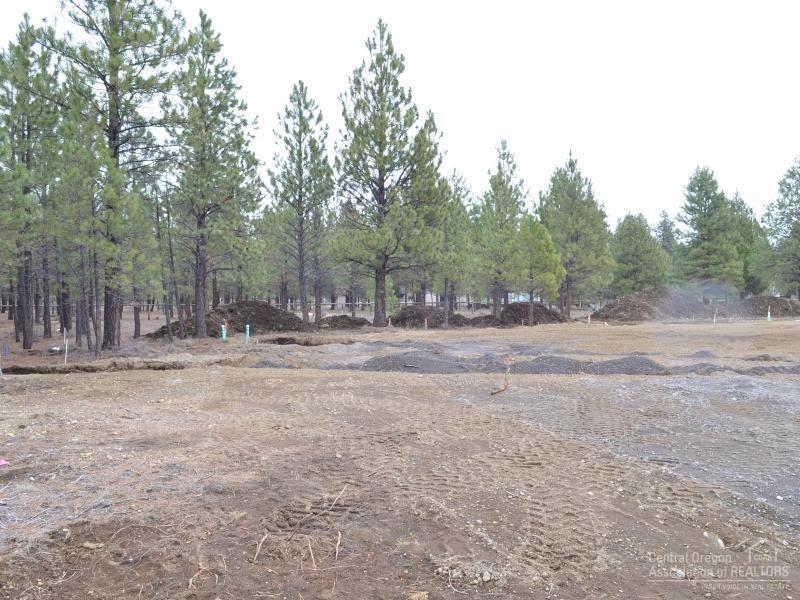 Clearpine - Land