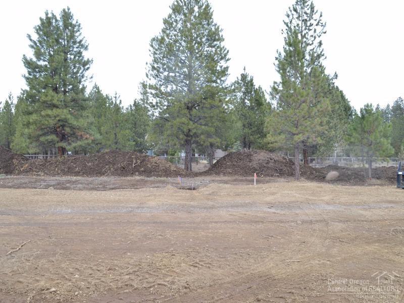 Clearpine - Land