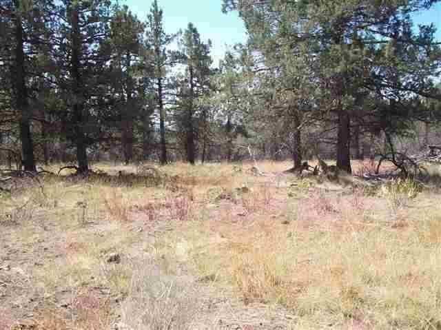 Individual Lots With The Potential Of Having One Community Well To Serve The 3 Properties Or For One Buyer To Have All The Land For Themselves. Great Opportunity For A Family, Or Contractor Looking For A Project.