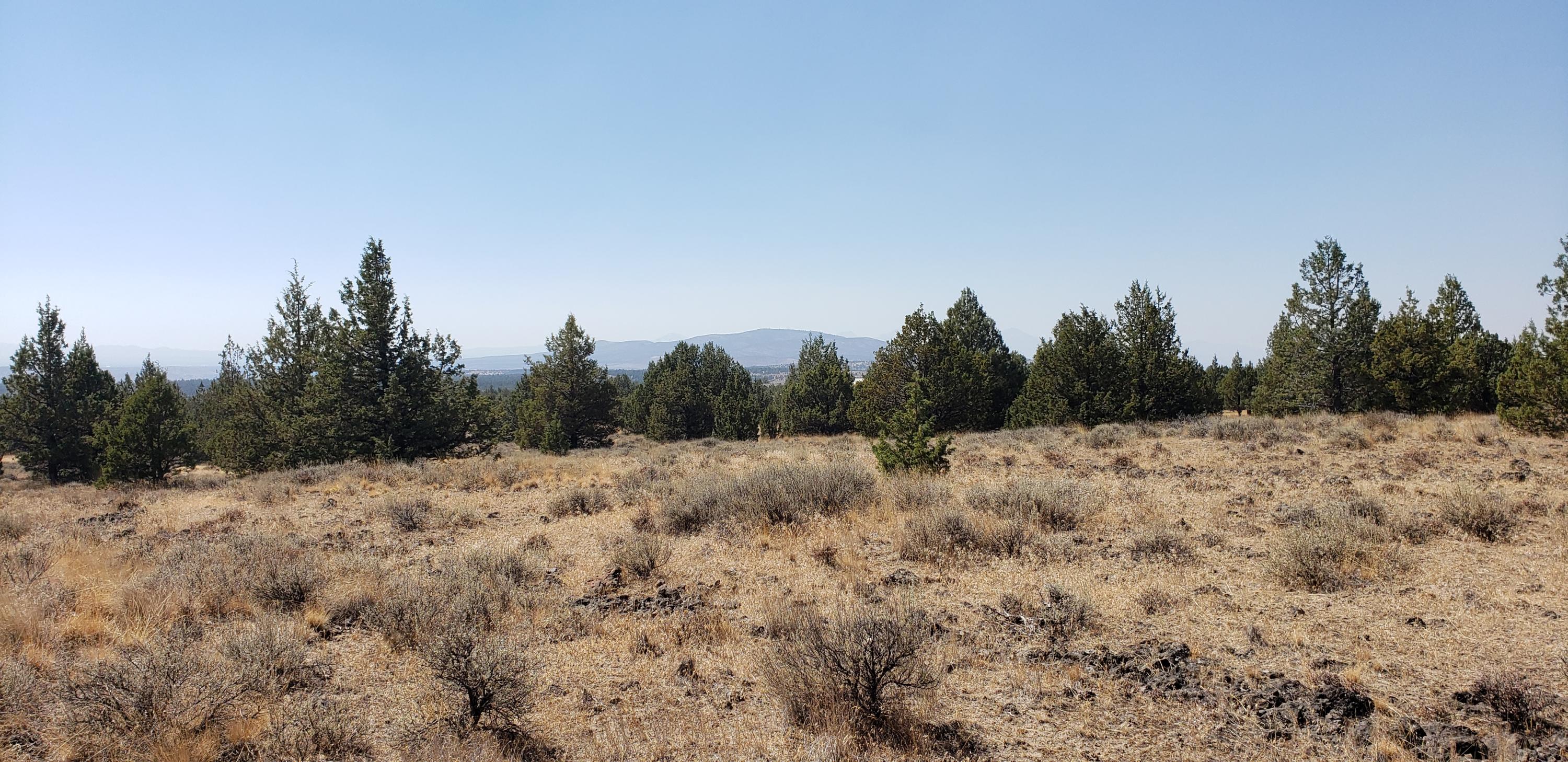 Ochoco Land + Livest - Land