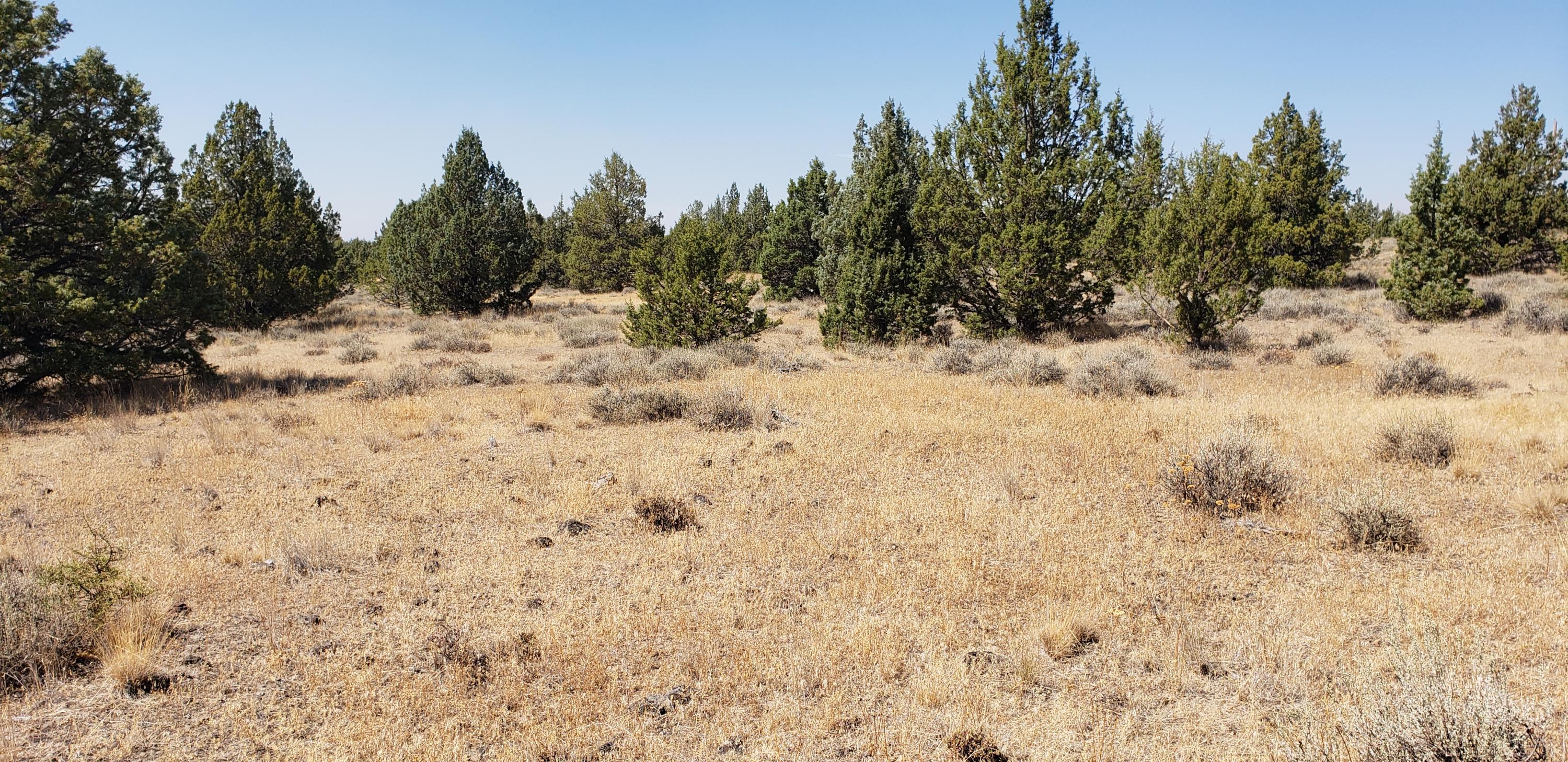 Ochoco Land + Livest - Land