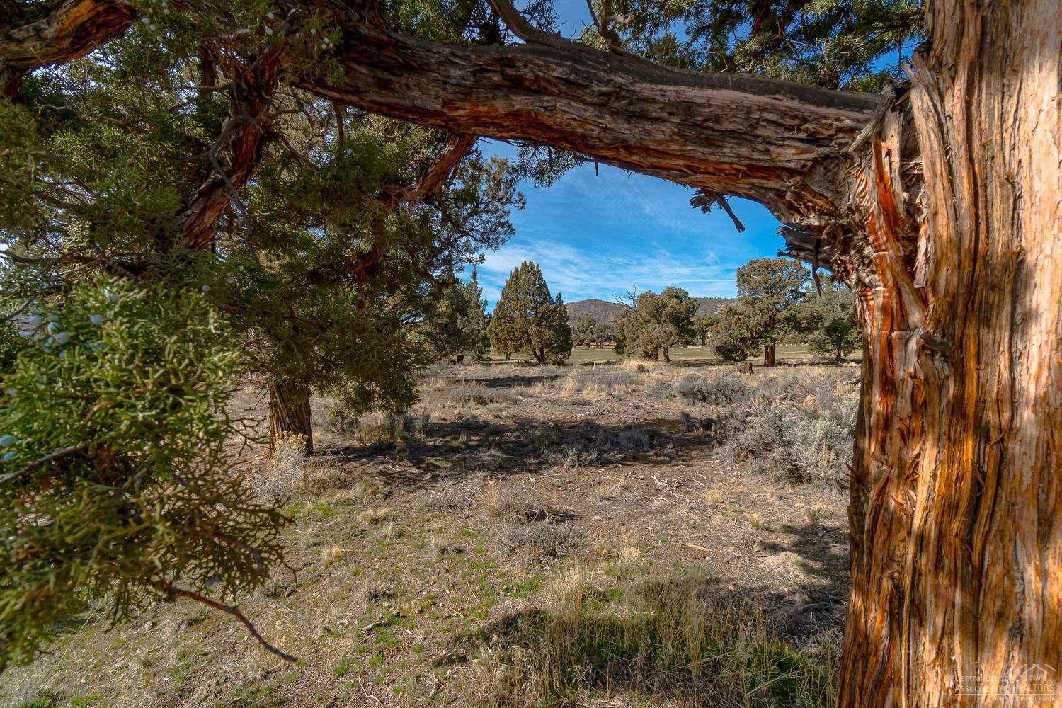Eagle Crest - Land