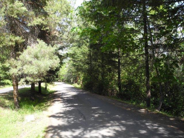 One of two adjacent lots for sale in lovely Stagecoach Hills. Rare undeveloped lots in this well established subdivision, surrounded by beautiful homes, these lots back up to Coachman Hills. They are nestled in the trees above Historic Jacksonville.