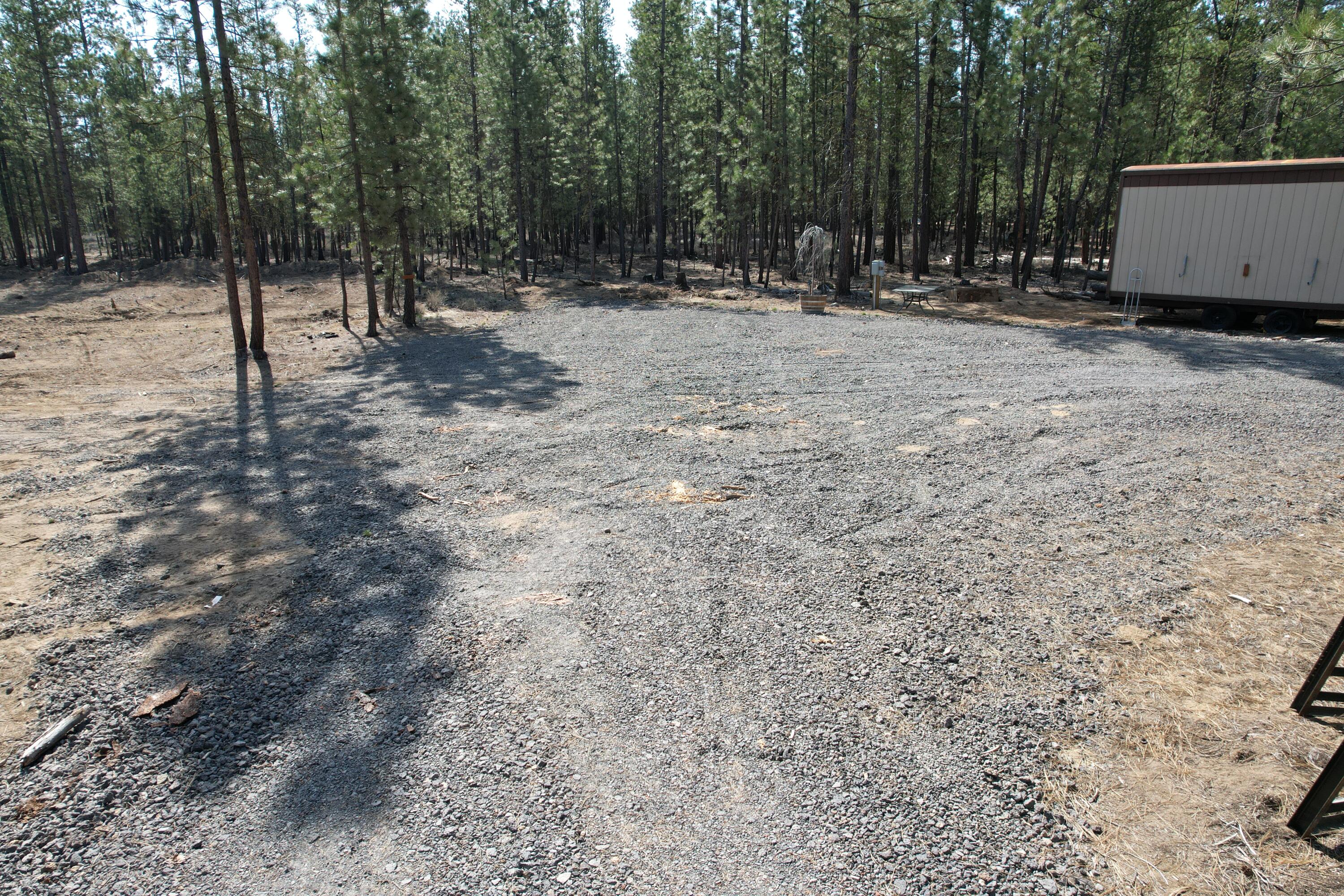 Ponderosa Pines - Land