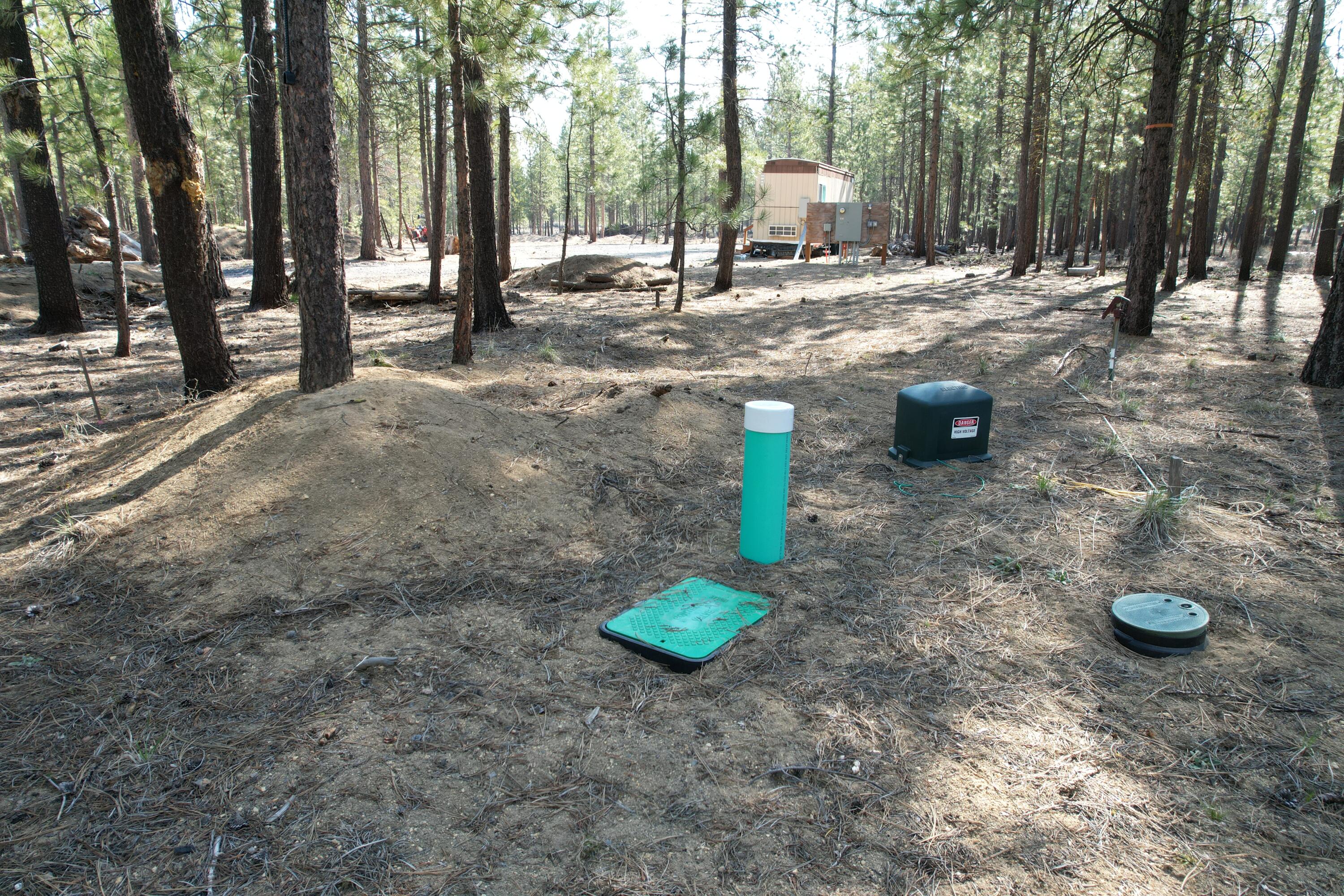 Ponderosa Pines - Land