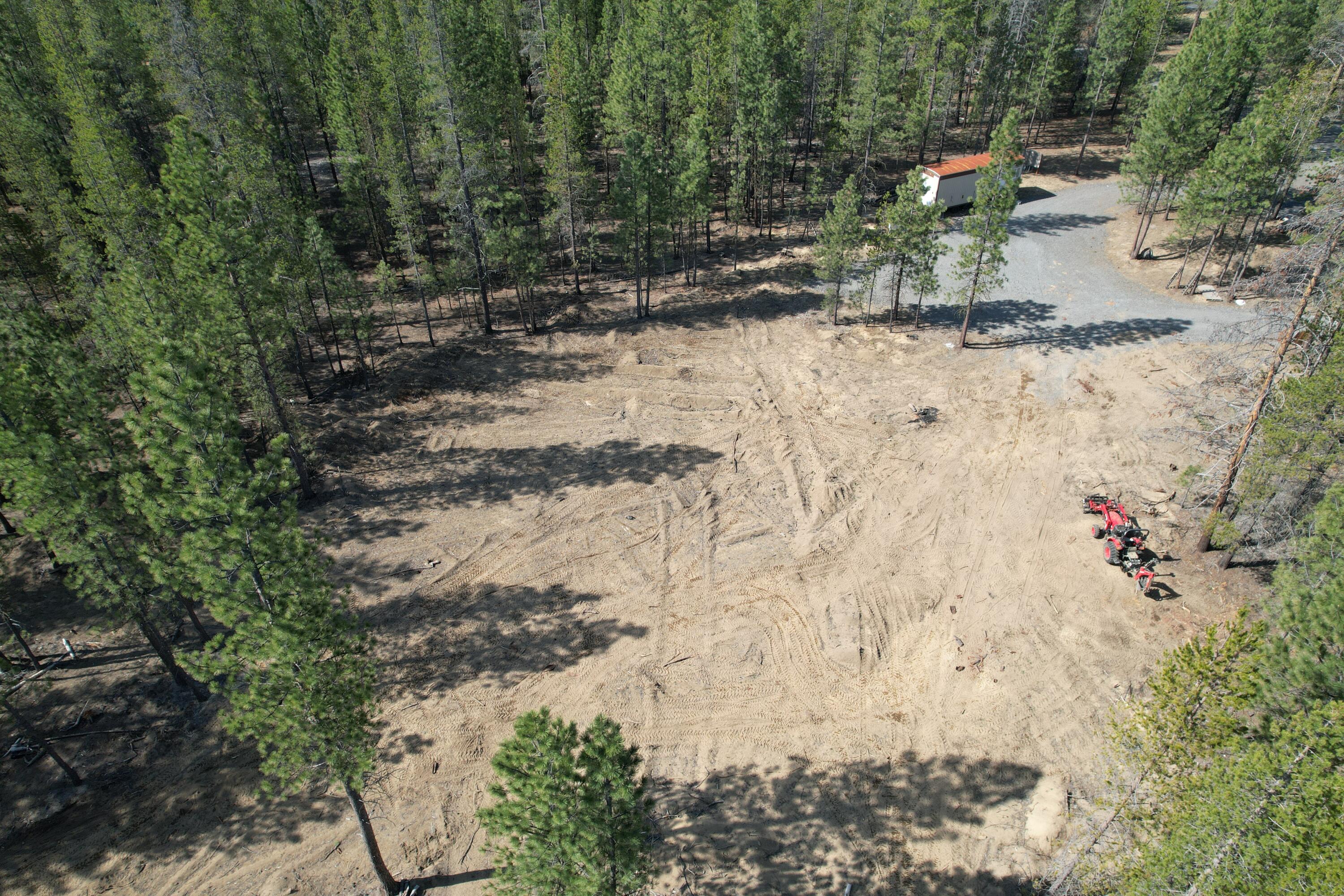Ponderosa Pines - Land