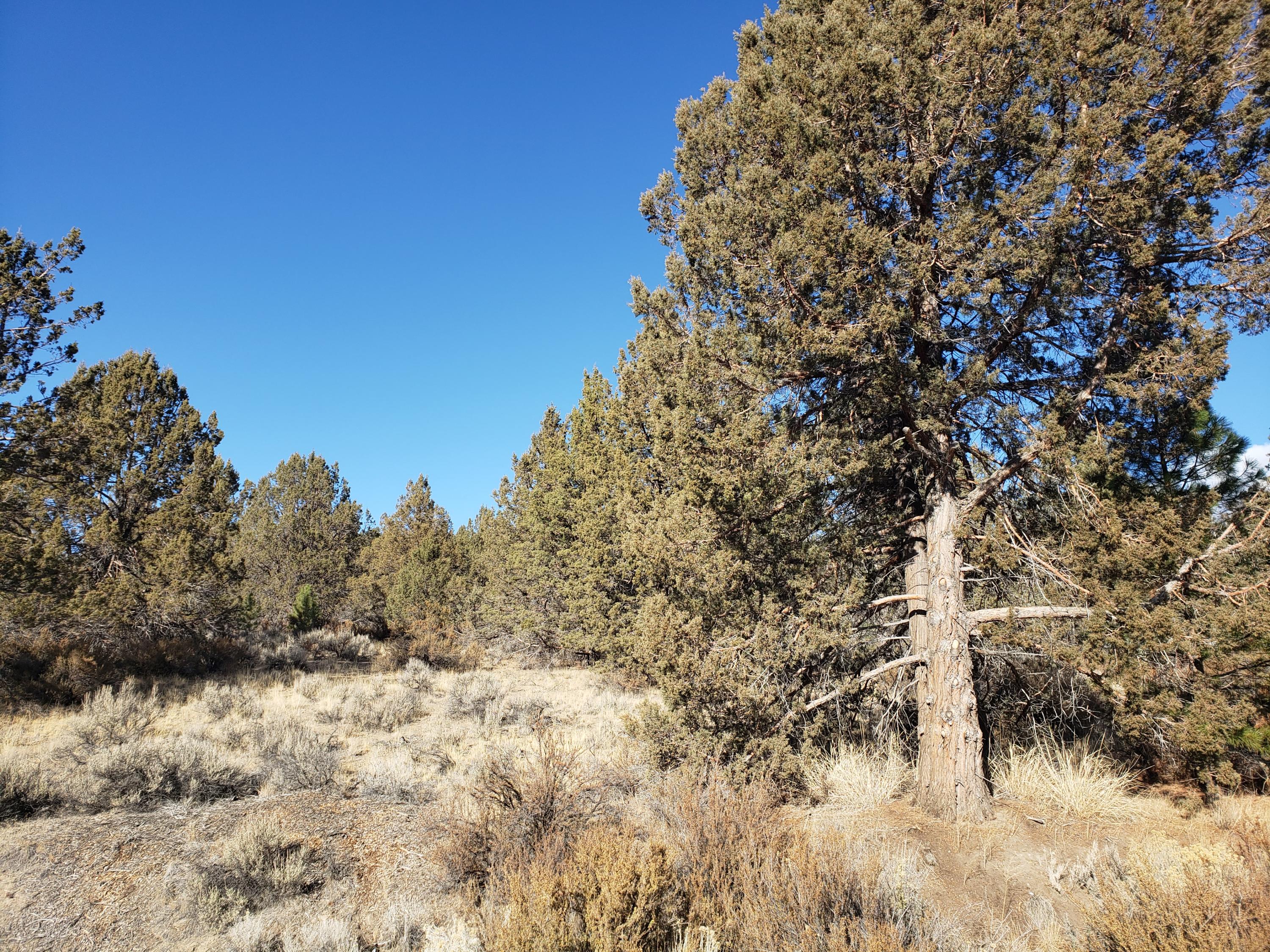 Over 1.5 acres with a view of the Sprague River and  access off paved roads.  Parcel has plenty of Juniper trees to provide privacy from the surrounding homes. A gentle slop provides for an elevated view of the valley and river below.