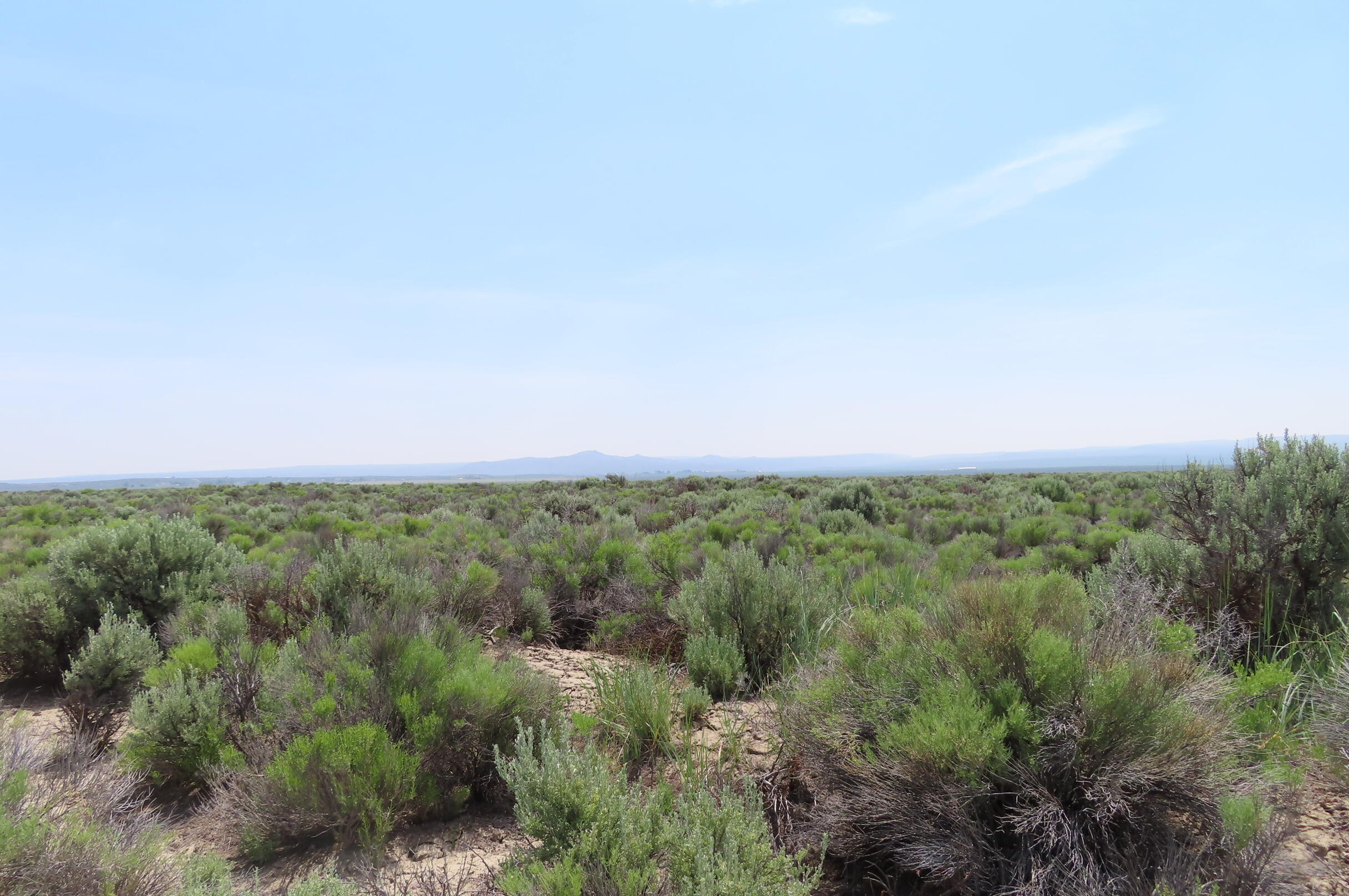 This 20-acre parcel of unimproved land, located just outside Christmas Valley, offers a picturesque setting with stunning views of the desert, mountains, and occasional wildlife. The property is zoned A-2, providing an opportunity to build your dream home; however, a Conditional Use Permit (C.U.P.) is required. Embracing off-grid living, this secluded spot allows you to enjoy privacy and escape the hustle and bustle of city life. The serene environment offers breathtaking sunrises and sunsets, creating a tranquil atmosphere. With ample space available, you have the freedom to cultivate a hobby farm and explore your agricultural interests or just have a place to call home.