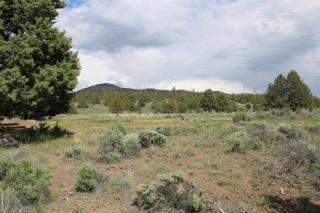 Sprague River Valley Acres - Land