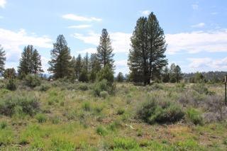 Over 4.5 acres with a well and beautiful view in the back in the back right corner of the property.
