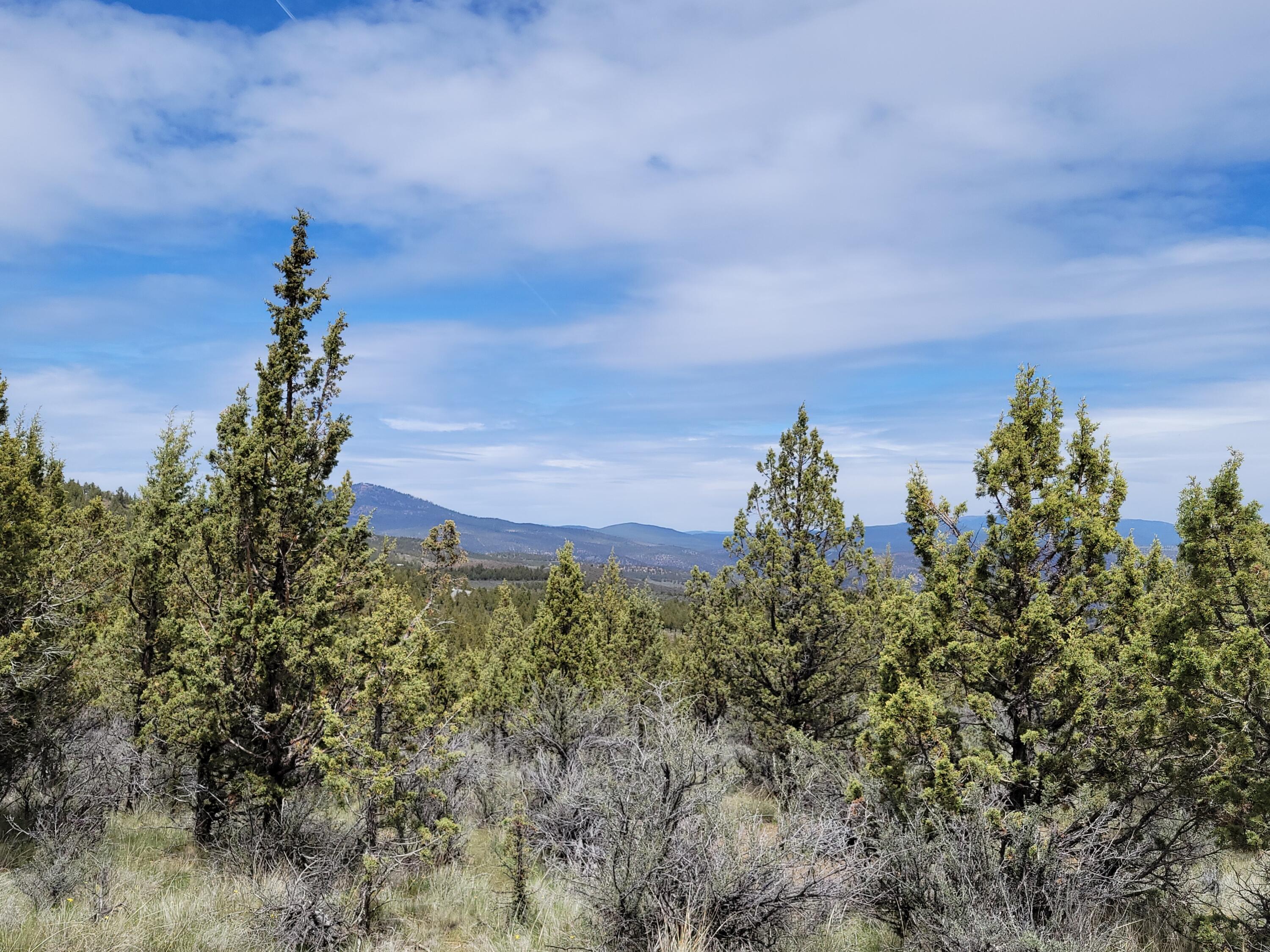 Riverside Ranch - Land