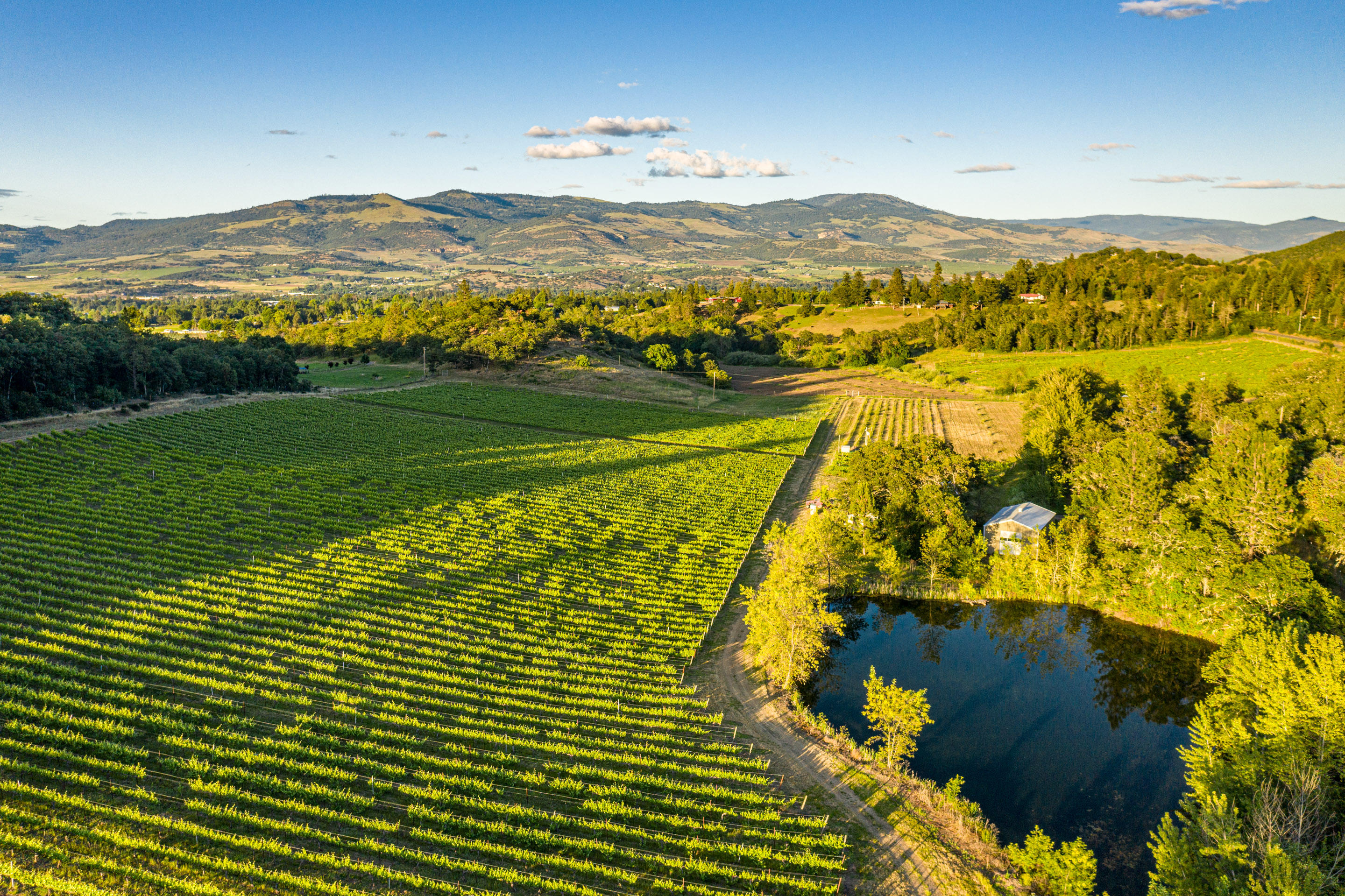 N/A - Farm