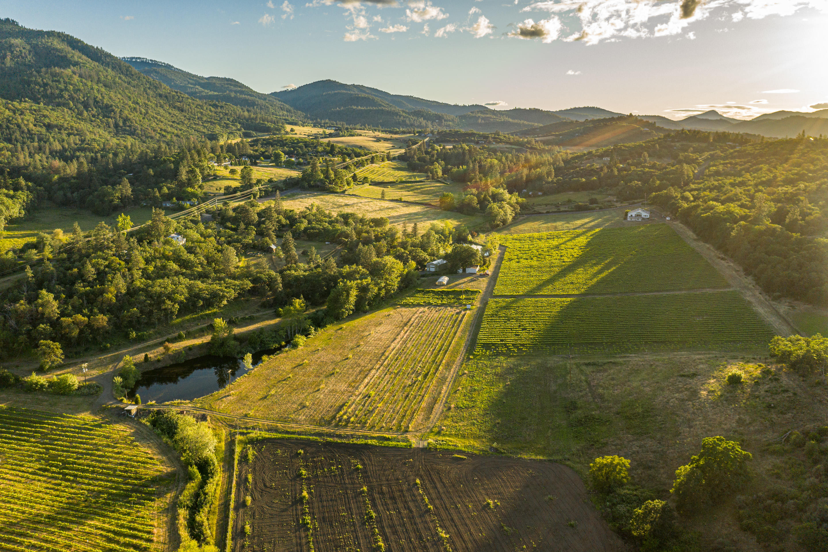 N/A - Farm