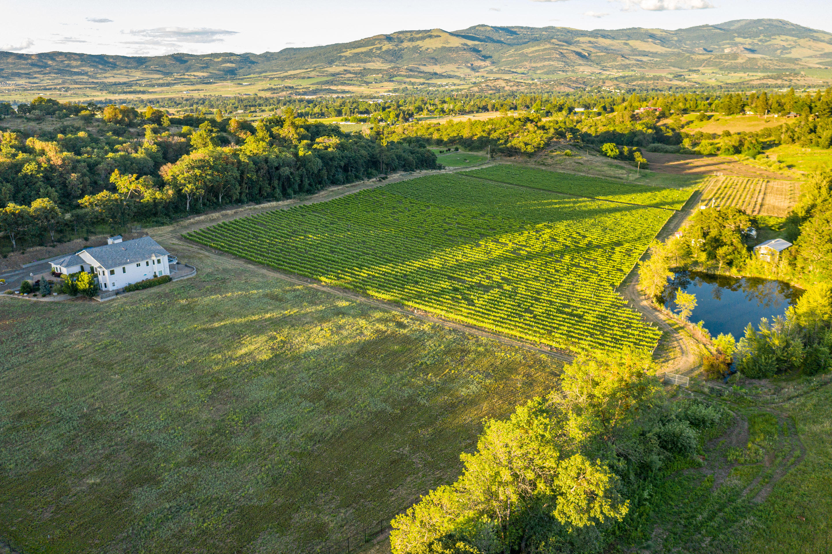 N/A - Farm