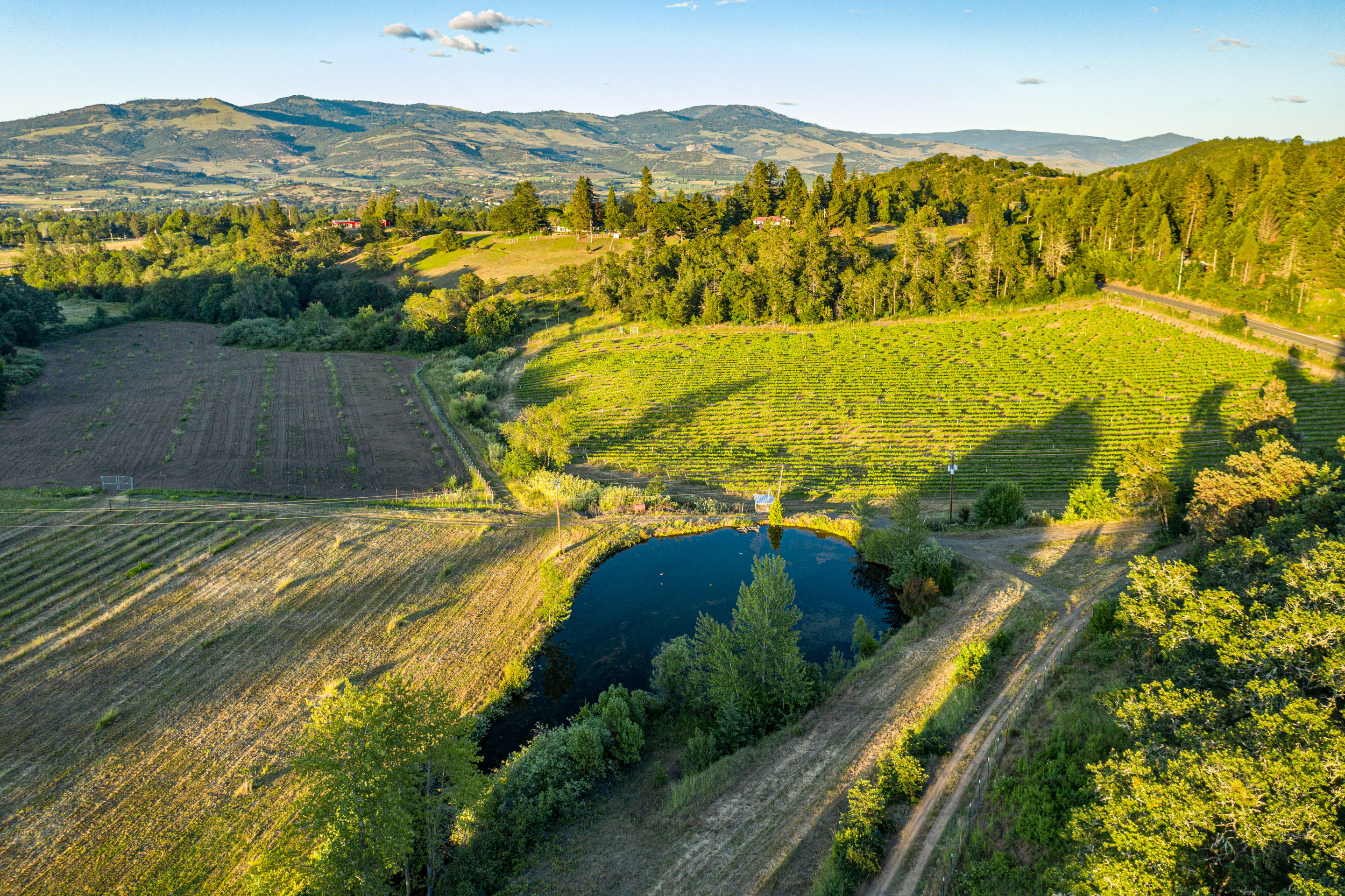 N/A - Farm