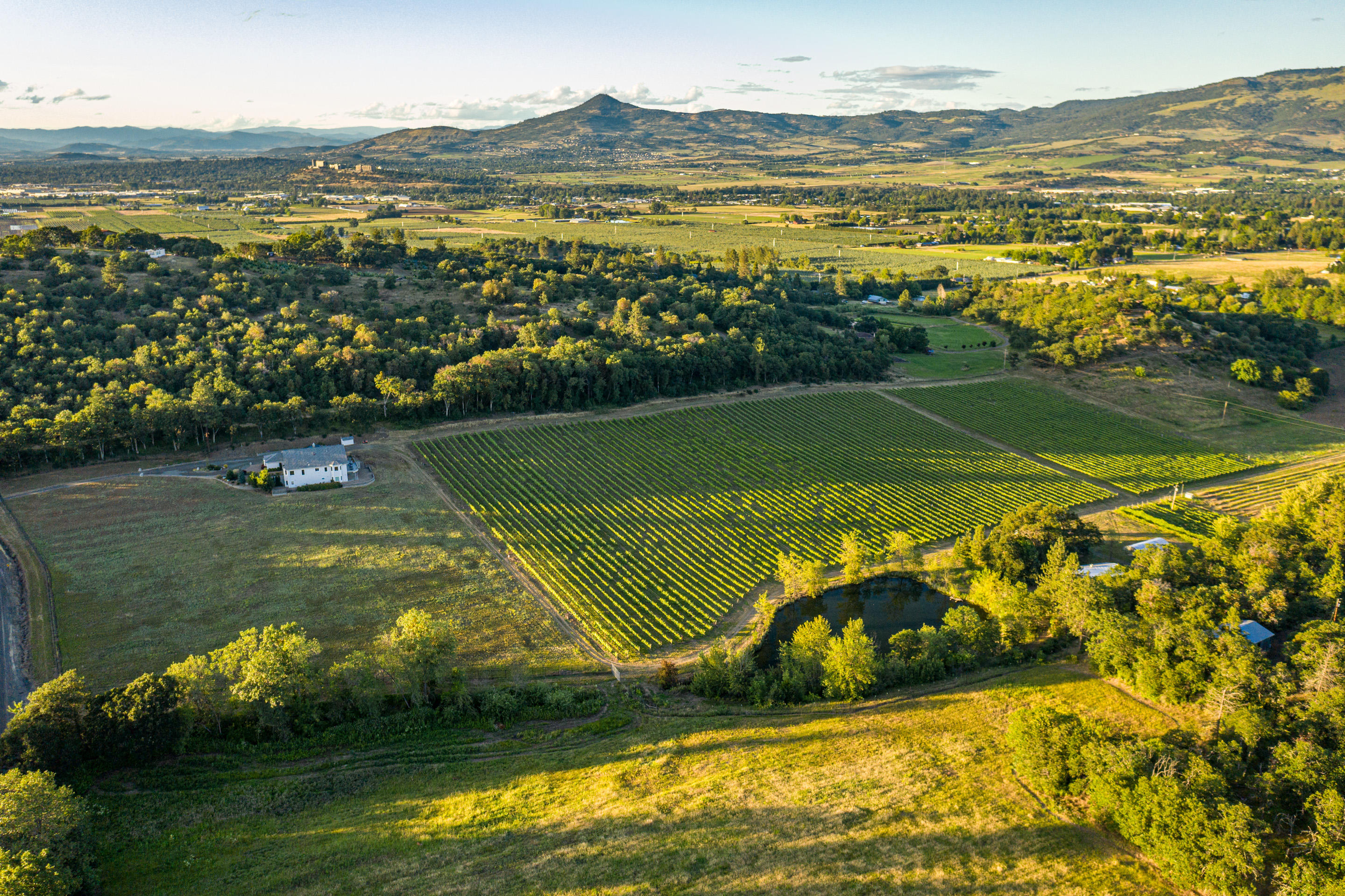 N/A - Farm