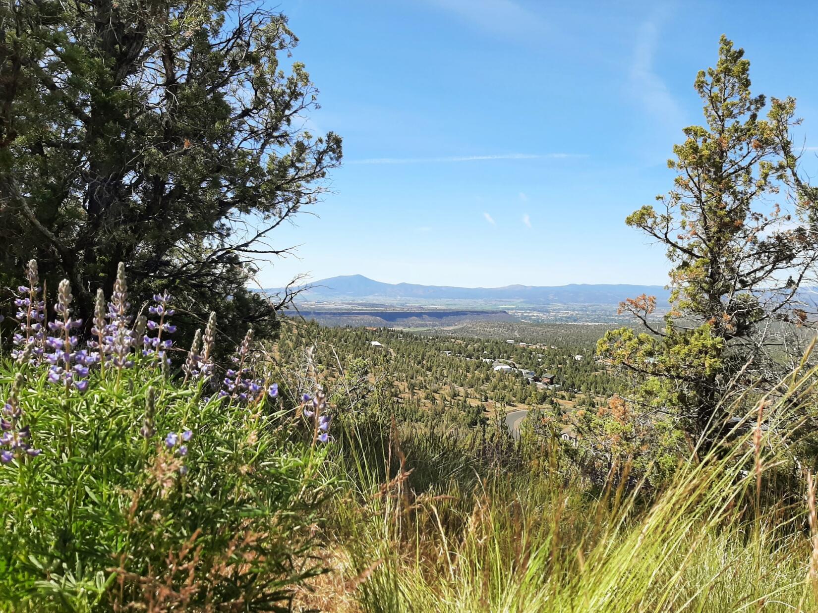 Scenic Vista Estates - Land