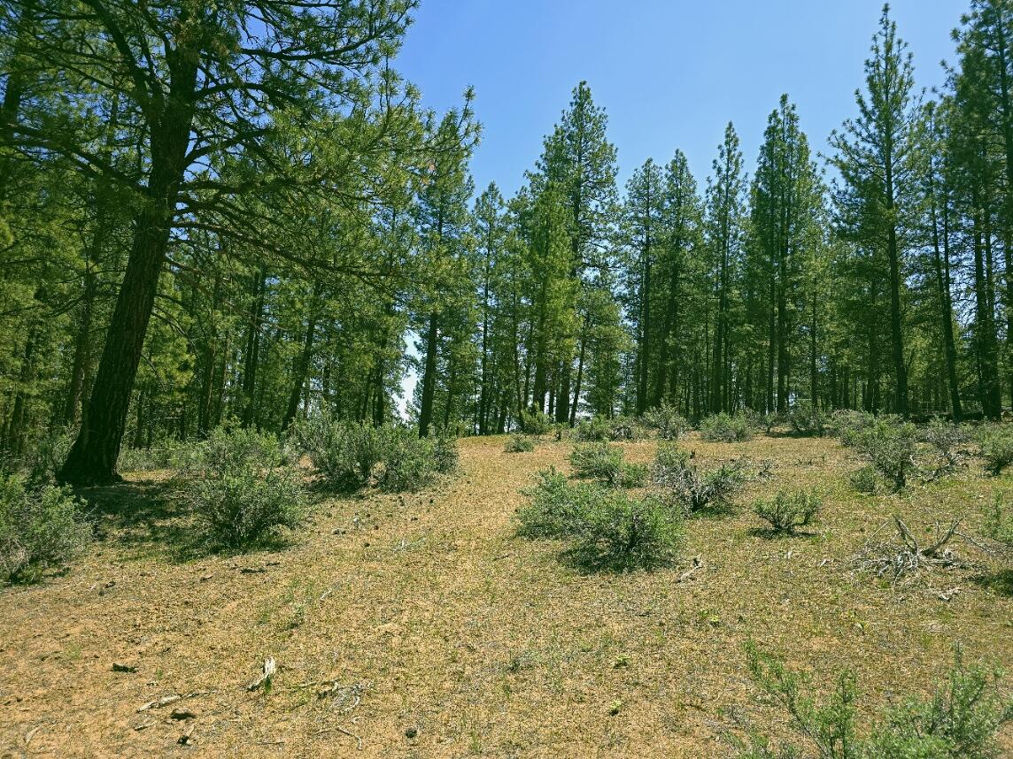 Klamath Country - Land