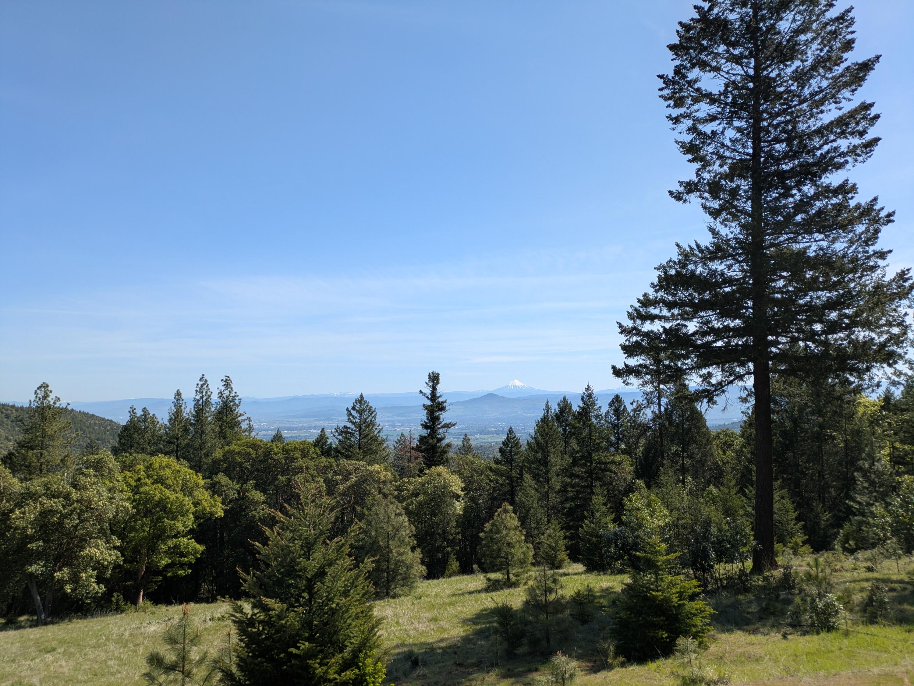 Build Your Legacy: 20-Acre View Estate Site. Privacy, Potential, and Ponderosa. Enjoy the ultimate privacy, perfect for a private estate or simply a secluded sanctuary.  This property is an ideal choice for the discerning buyer who values both the rugged natural beauty of Oregon. Seize the opportunity to create a custom mountain retreat on this spectacular 20-acre parcel. This is more than land; it's a future estate, offering an exceptional blend of seclusion and accessibility in the heart of Southern Oregon. Imagine a deck perfectly positioned to capture one of the most magnificent vistas in the region! With some strategic tree clearing, your custom home will command jaw-dropping panoramic views of the Rogue Valley and the majestic Cascade peaks: Mt. McLoughlin, Mt. Thielson, the Crater Lake Rim, and Mt. Bachelor. Pre-existing homesite and septic approval, power is conveniently nearby, and the access road is roughed in.
