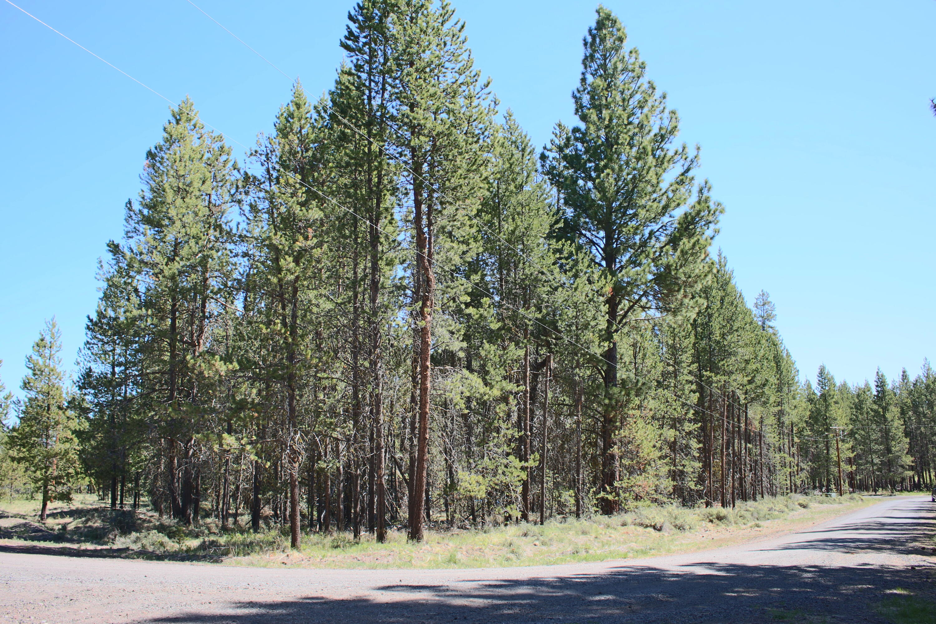 Fantastic location! Great opportunity to own a recreational lot that is just across from the Deschutes River, close to Cascade Lakes, La Pine State Park and Mt. Bachelor. Relax and enjoy the abundant wildlife on this nicely treed corner lot that is just under half an acre. DRRH has common area on the Deschutes river for owners.