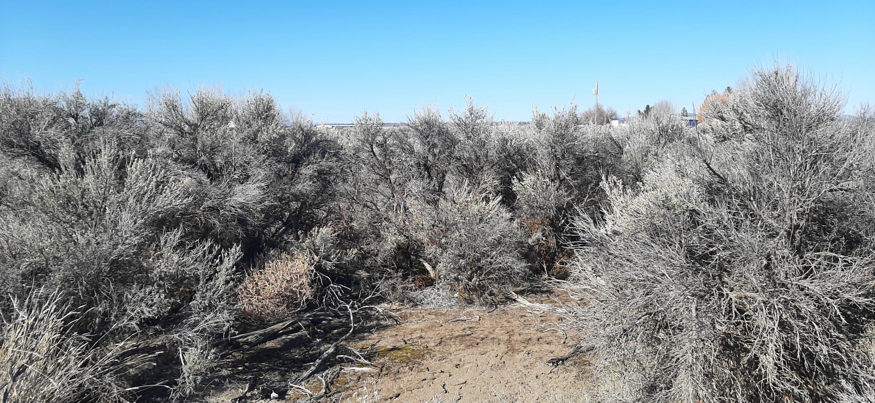 Christmas Valley Unit9 - Land