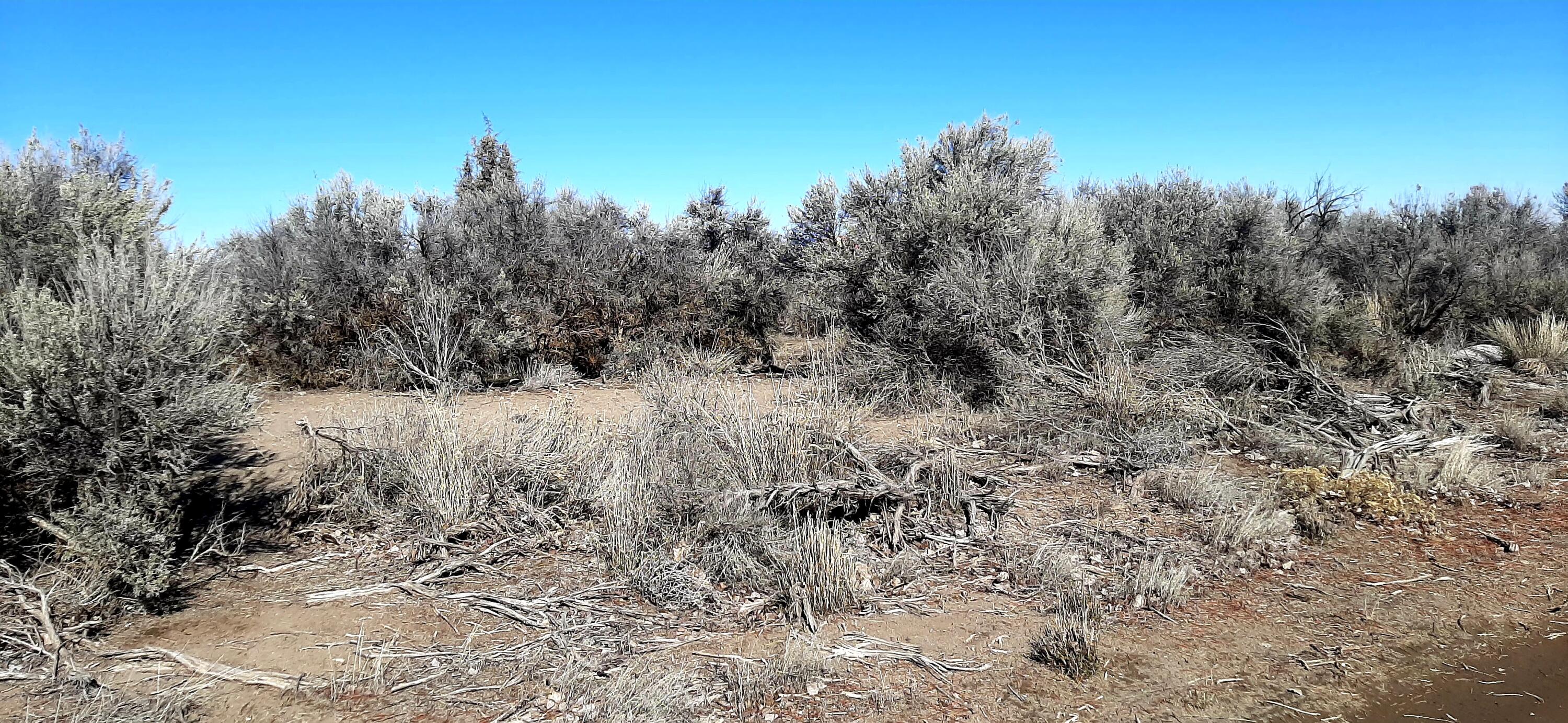 Christmas Valley Unit9 - Land