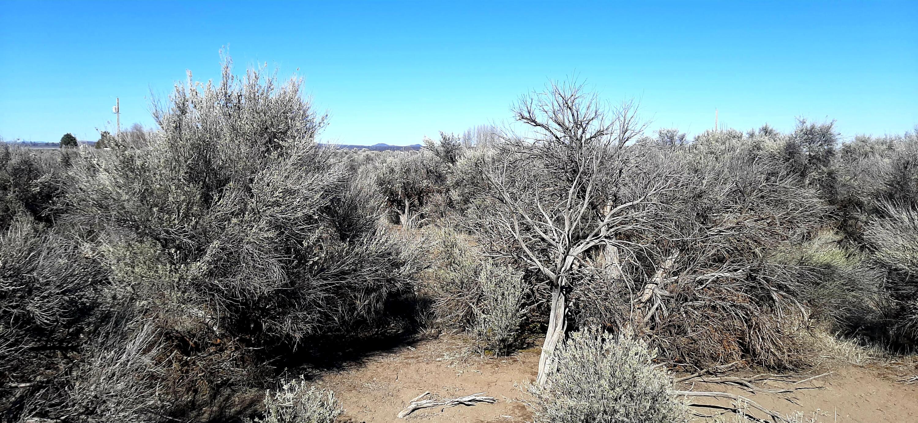 Christmas Valley Unit9 - Land
