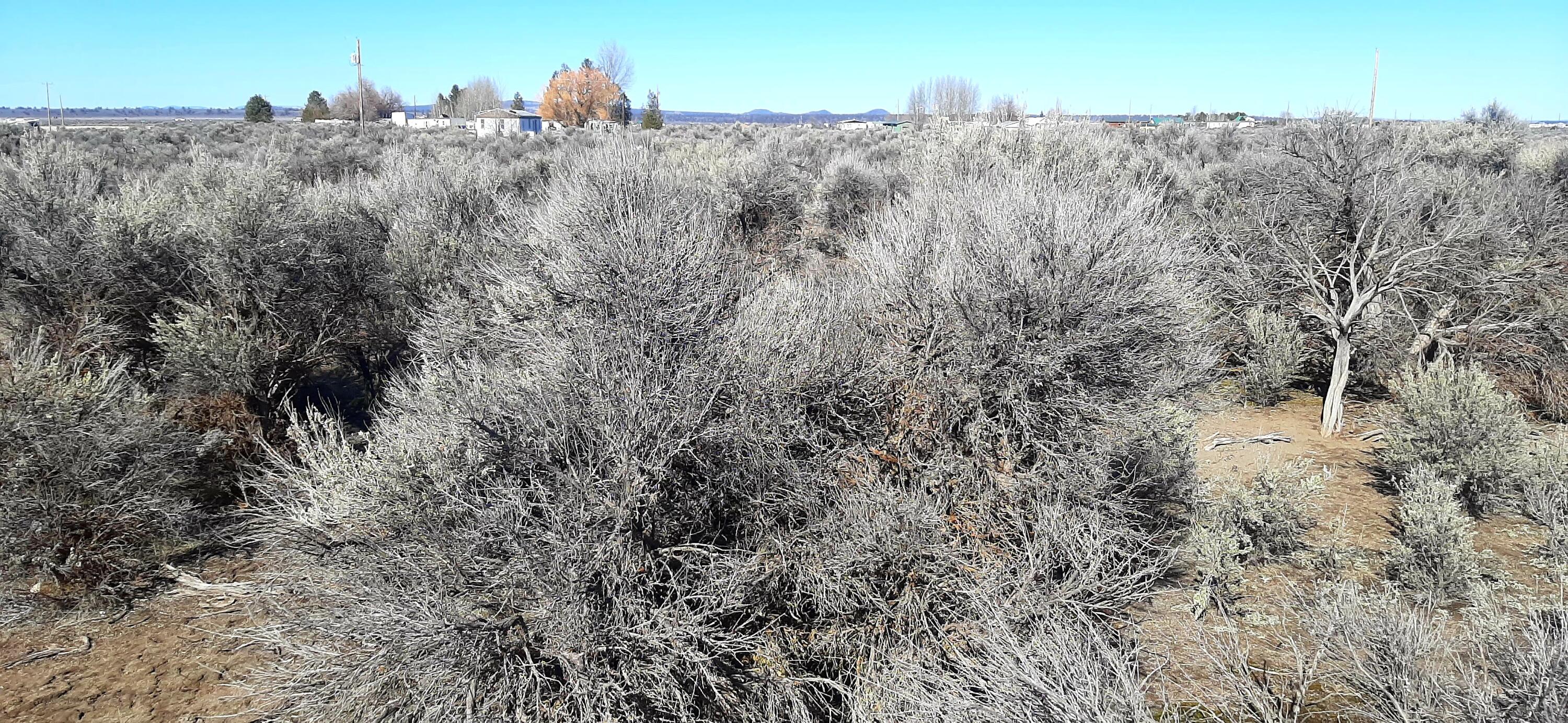 Christmas Valley Unit9 - Land