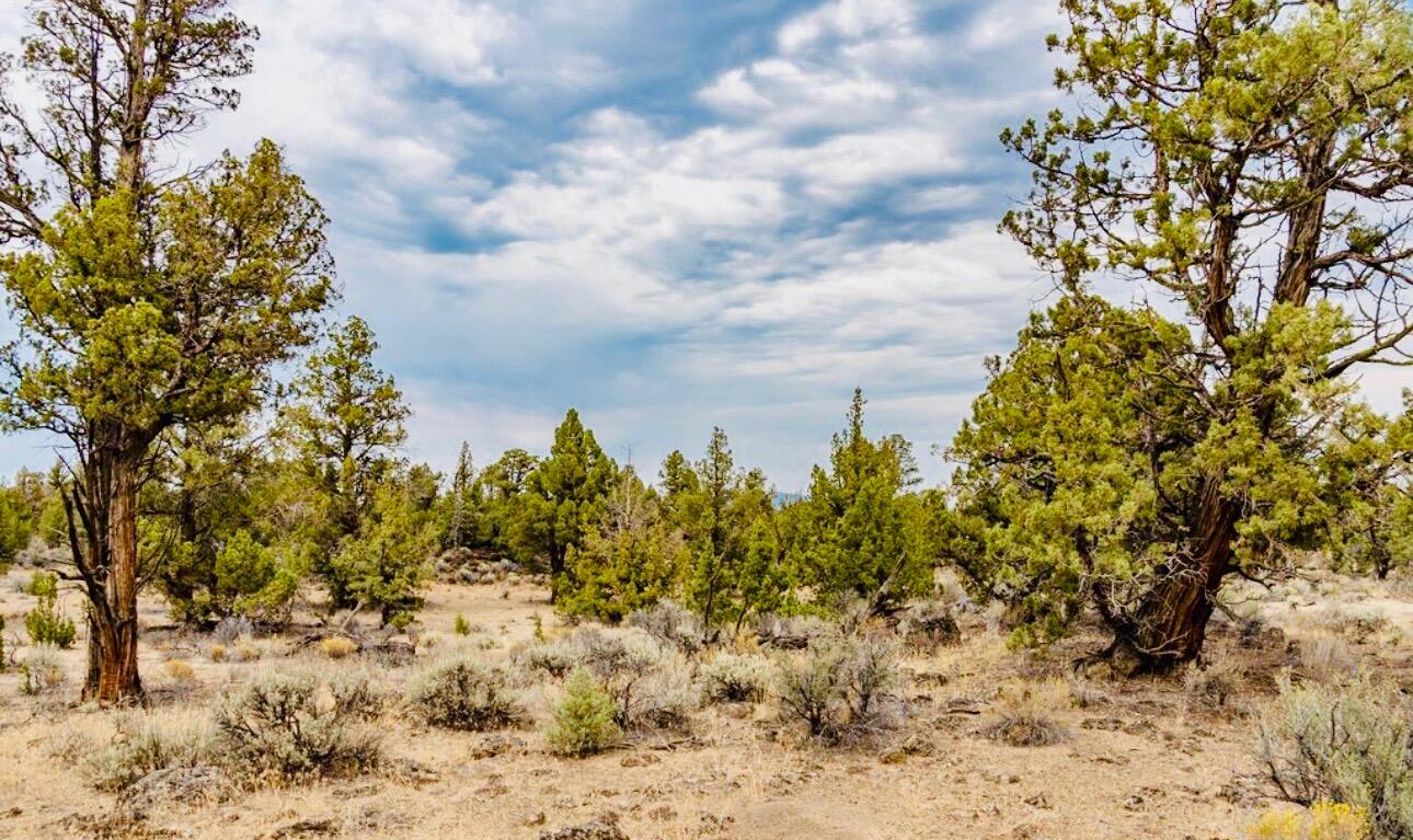Badlands Ranch - Land