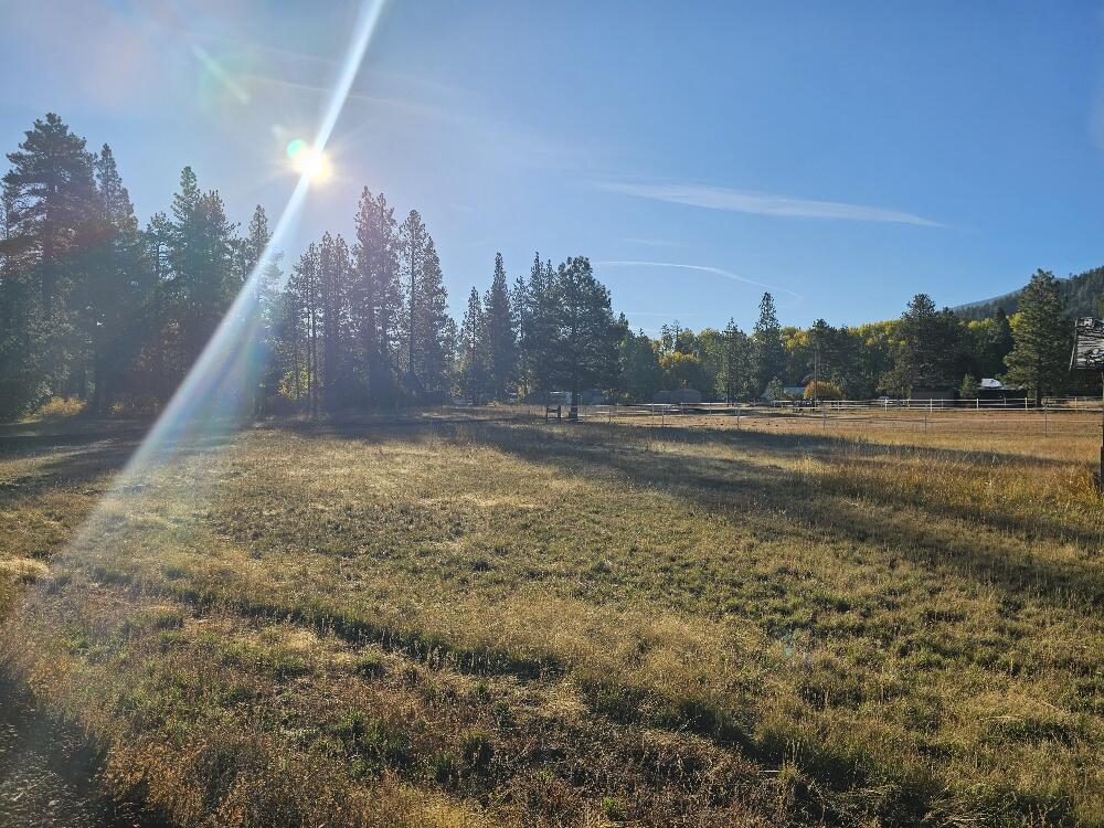 Great building lot out in the Rocky Point area, only a few miles from great fishing and kayaking. Harriman's lodge and the Rocky Point resort are just a jaunt down the road also! Take in all of the wilderness, eagles deer... you name it. Crater Lake is only approx. 45 minutes away also. Setting would be perfect for a log home or cabin, there is so many possibilities. Approximately 15 minutes away from Lake of the Woods